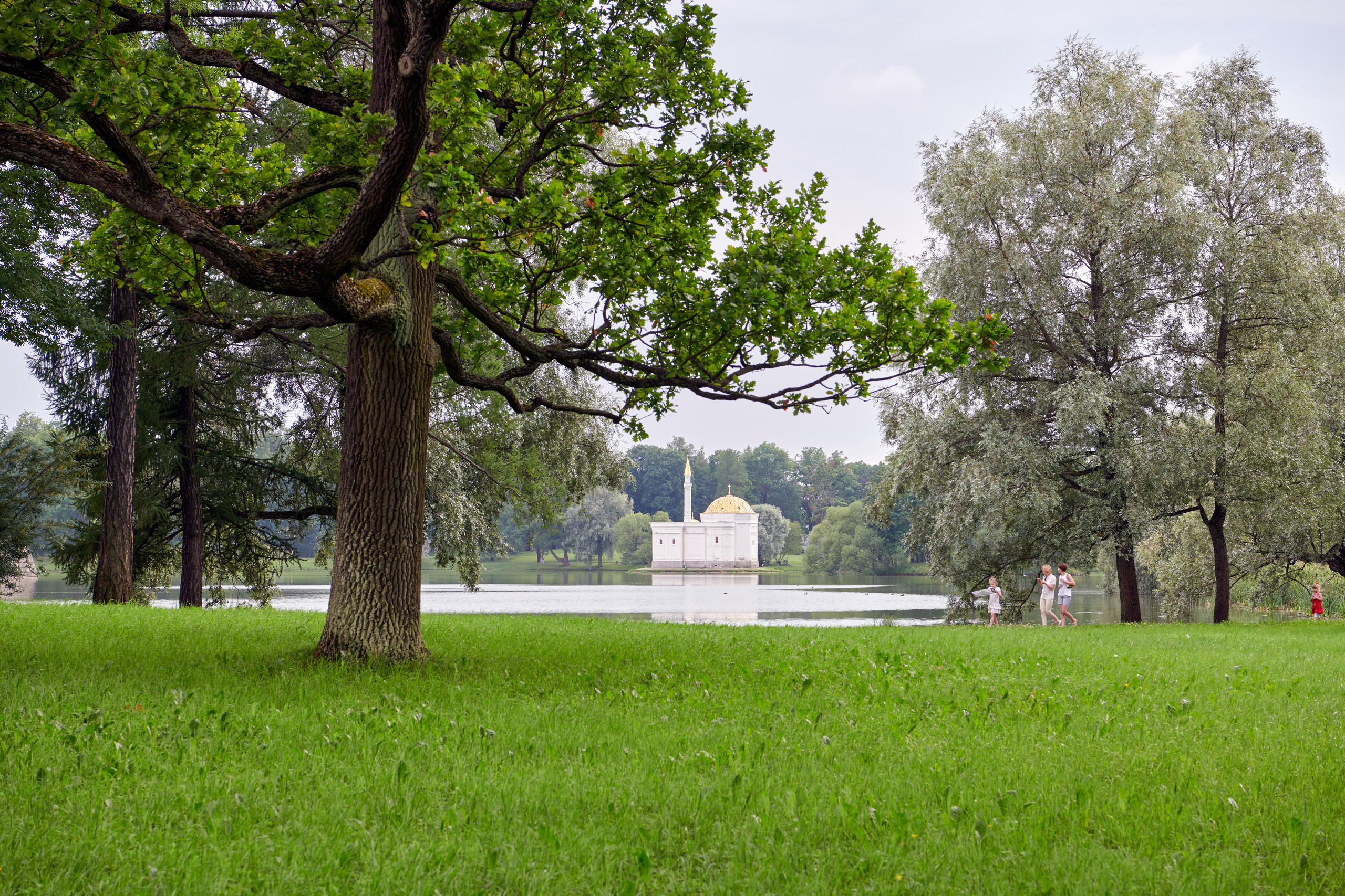 НАШИ ФОТО. Владимир Власюк
