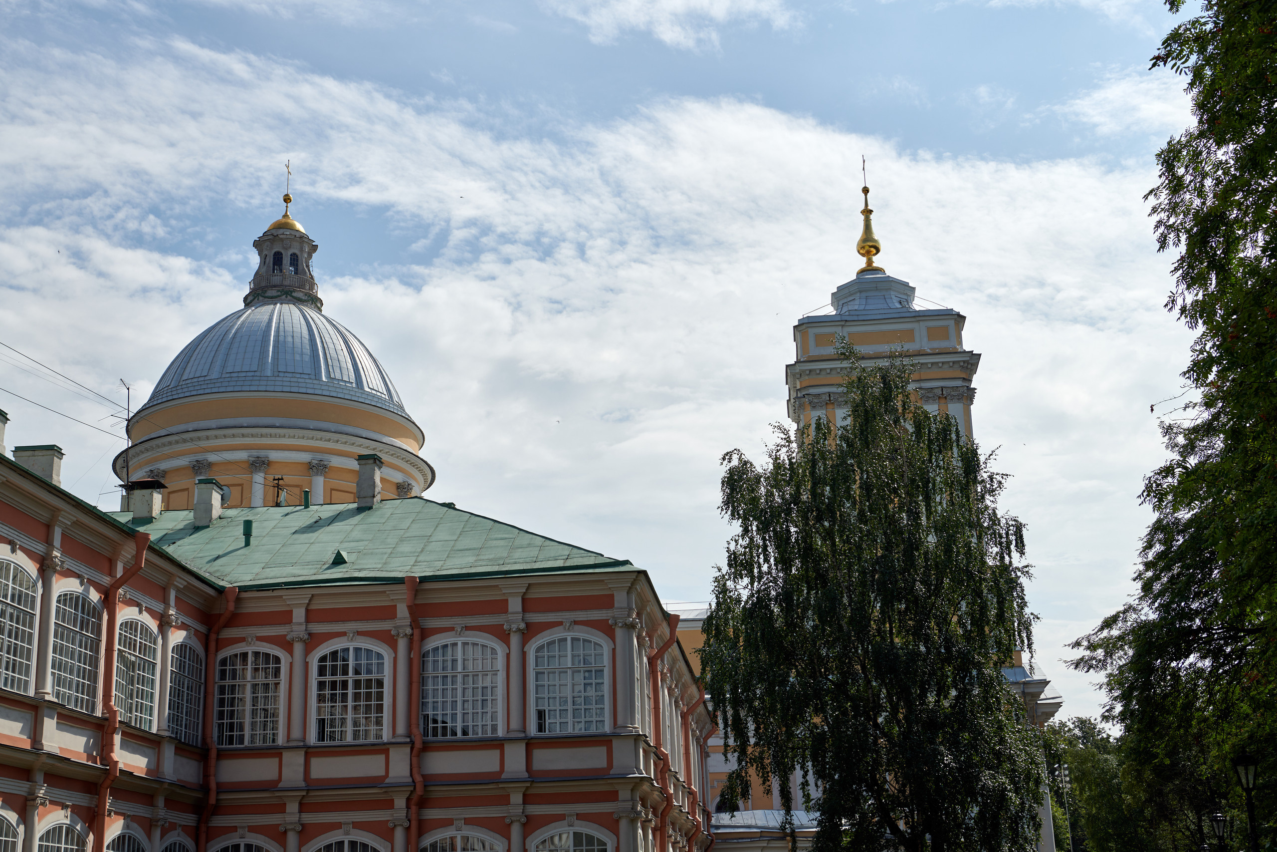 НАШИ ФОТО. Владимир Власюк