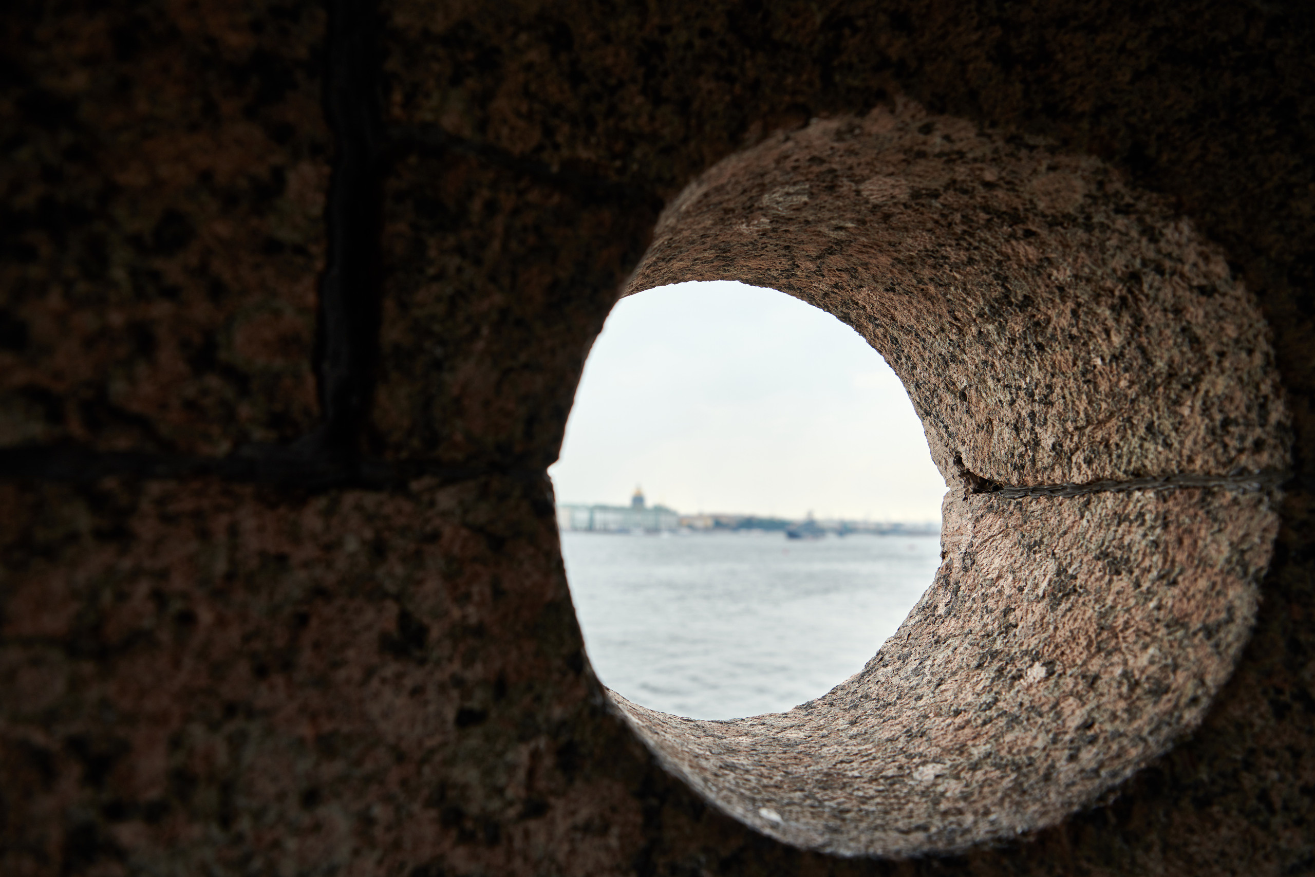 НАШИ ФОТО. Владимир Власюк