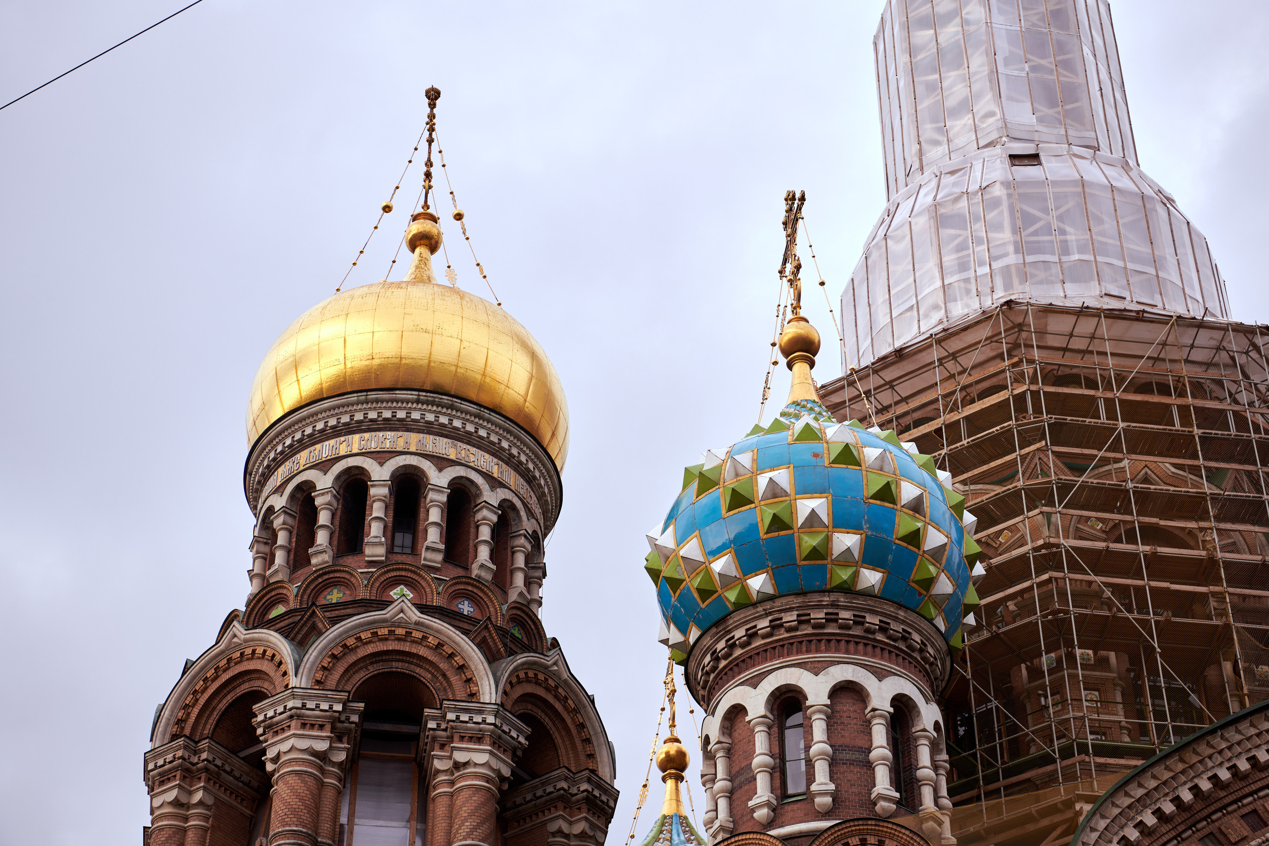 НАШИ ФОТО. Владимир Власюк