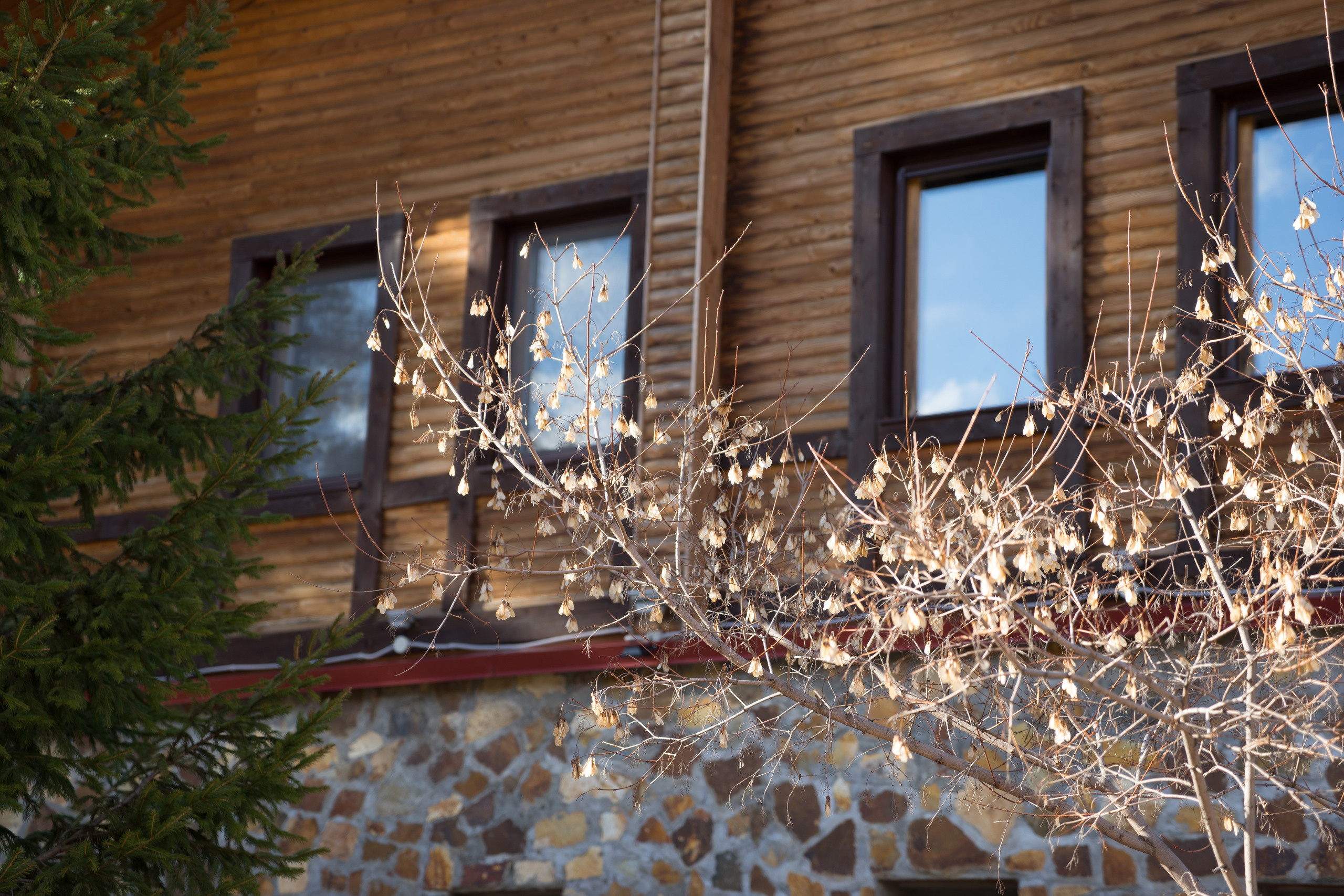 Екатеринбург. Владимир Власюк