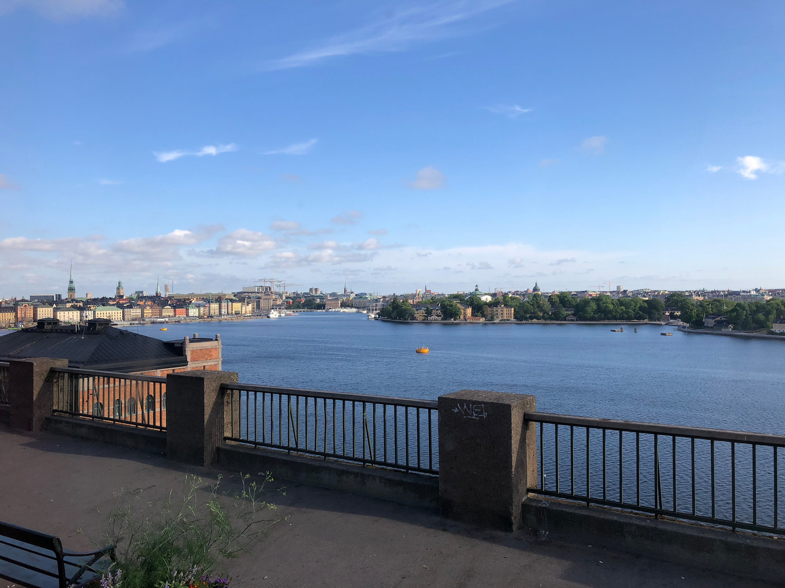 НАШИ ФОТО. Владимир Власюк