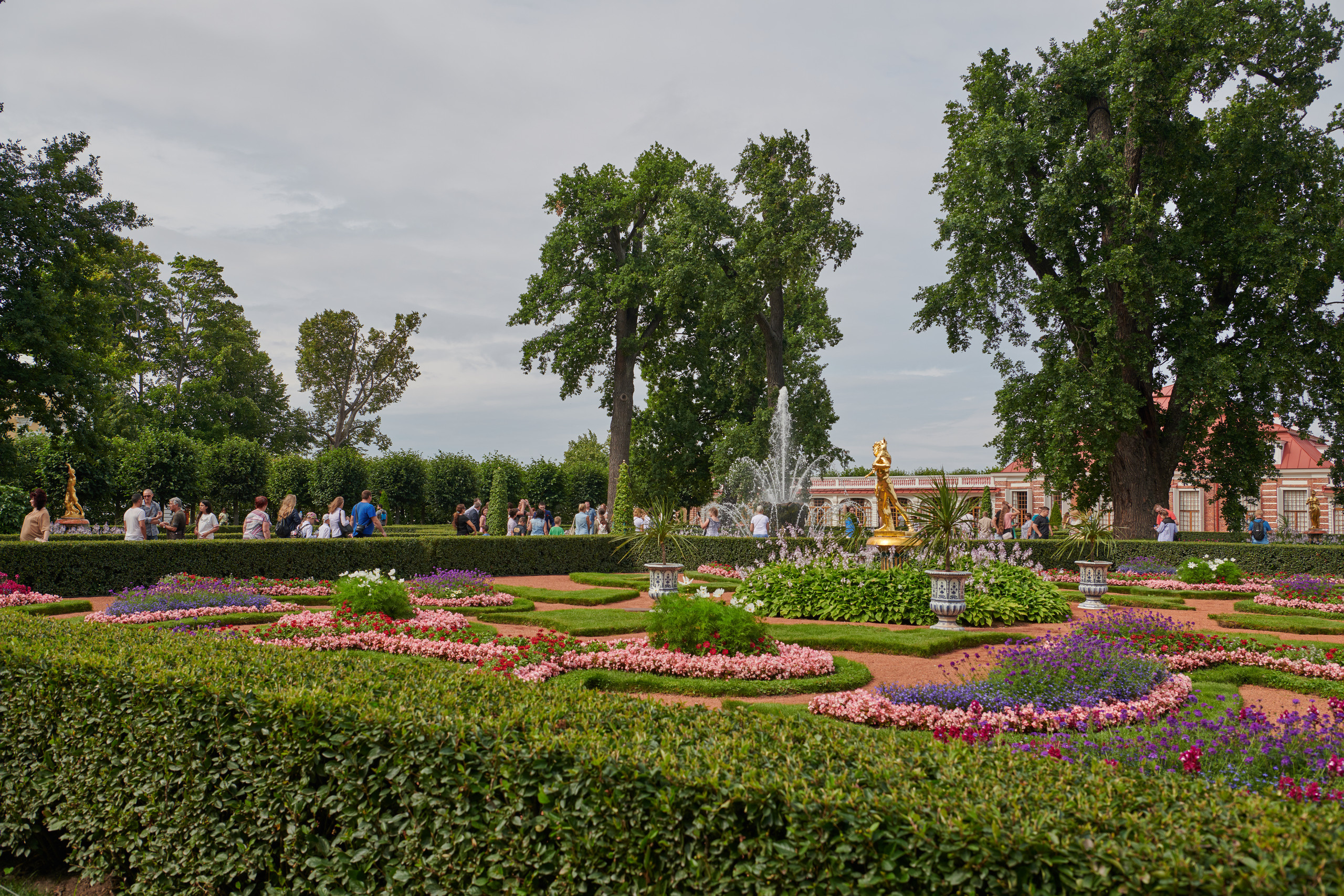НАШИ ФОТО. Владимир Власюк