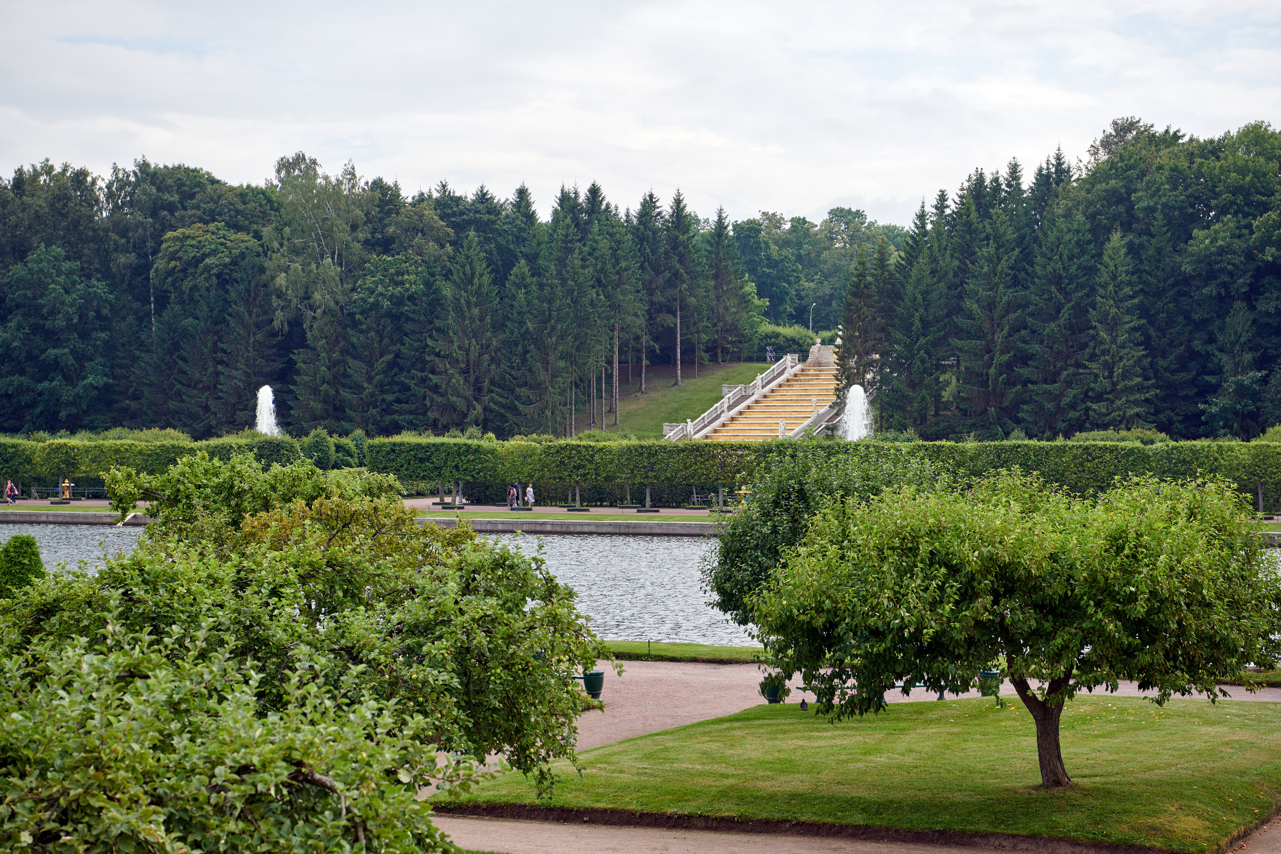НАШИ ФОТО. Владимир Власюк