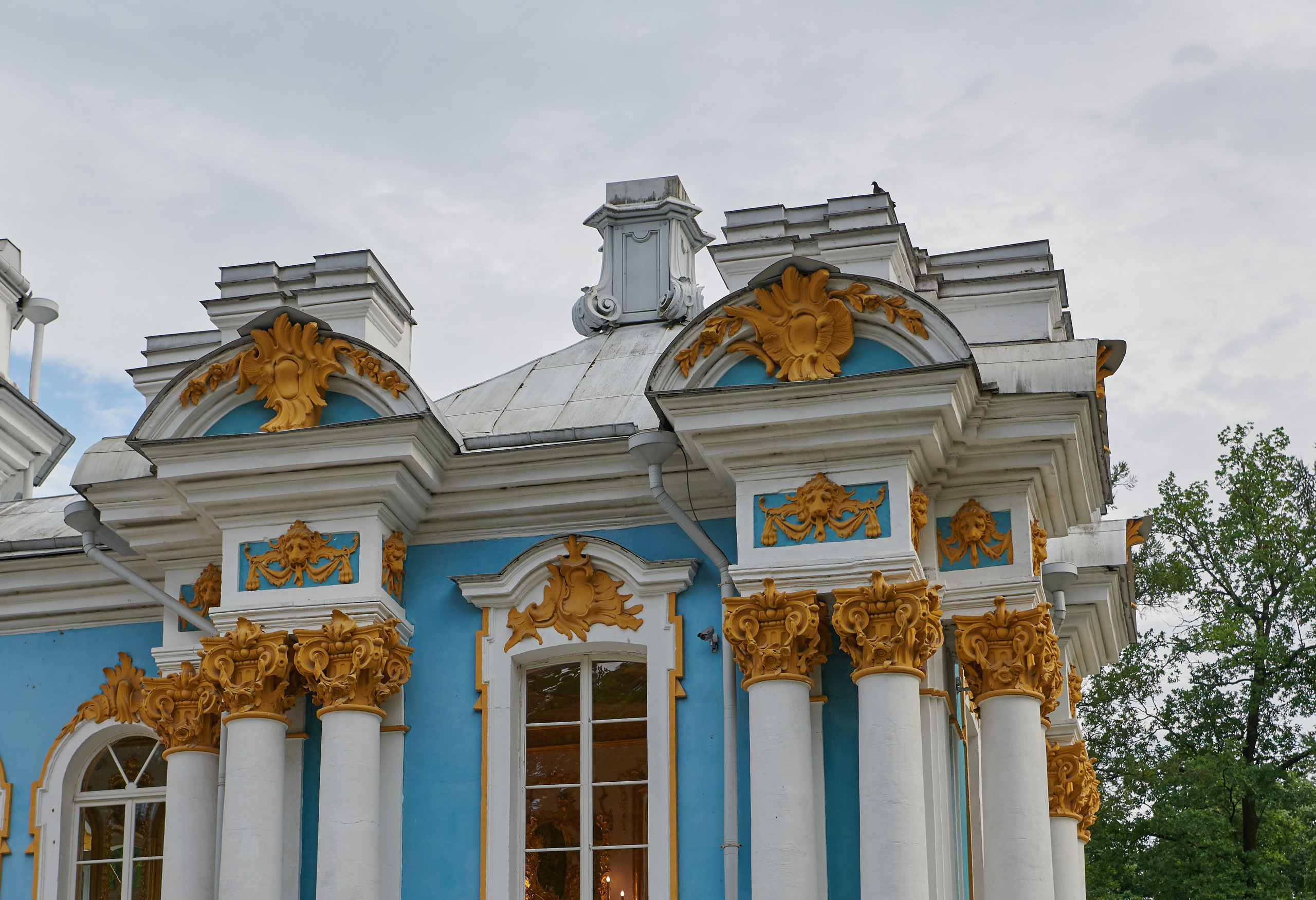 НАШИ ФОТО. Владимир Власюк