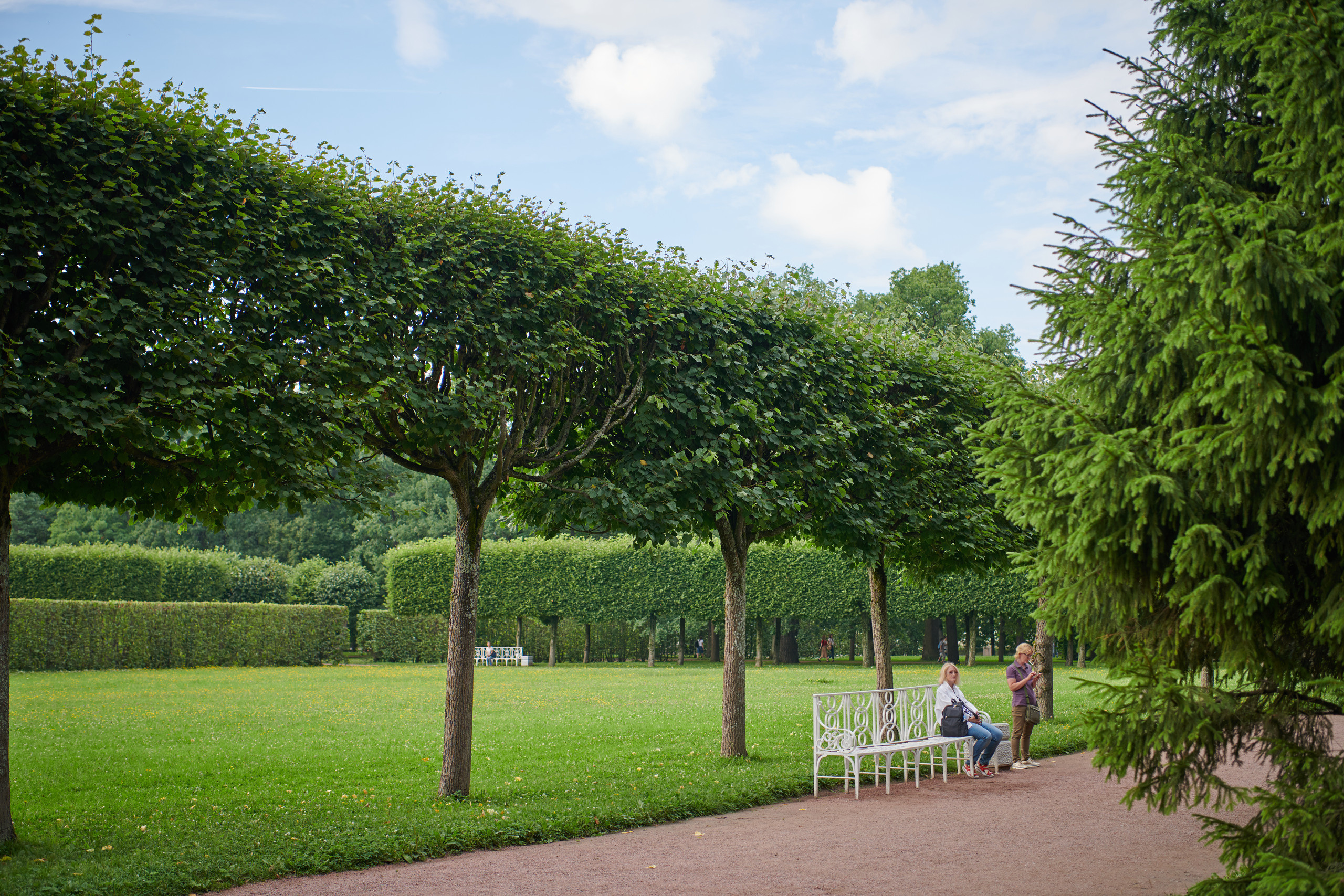 НАШИ ФОТО. Владимир Власюк