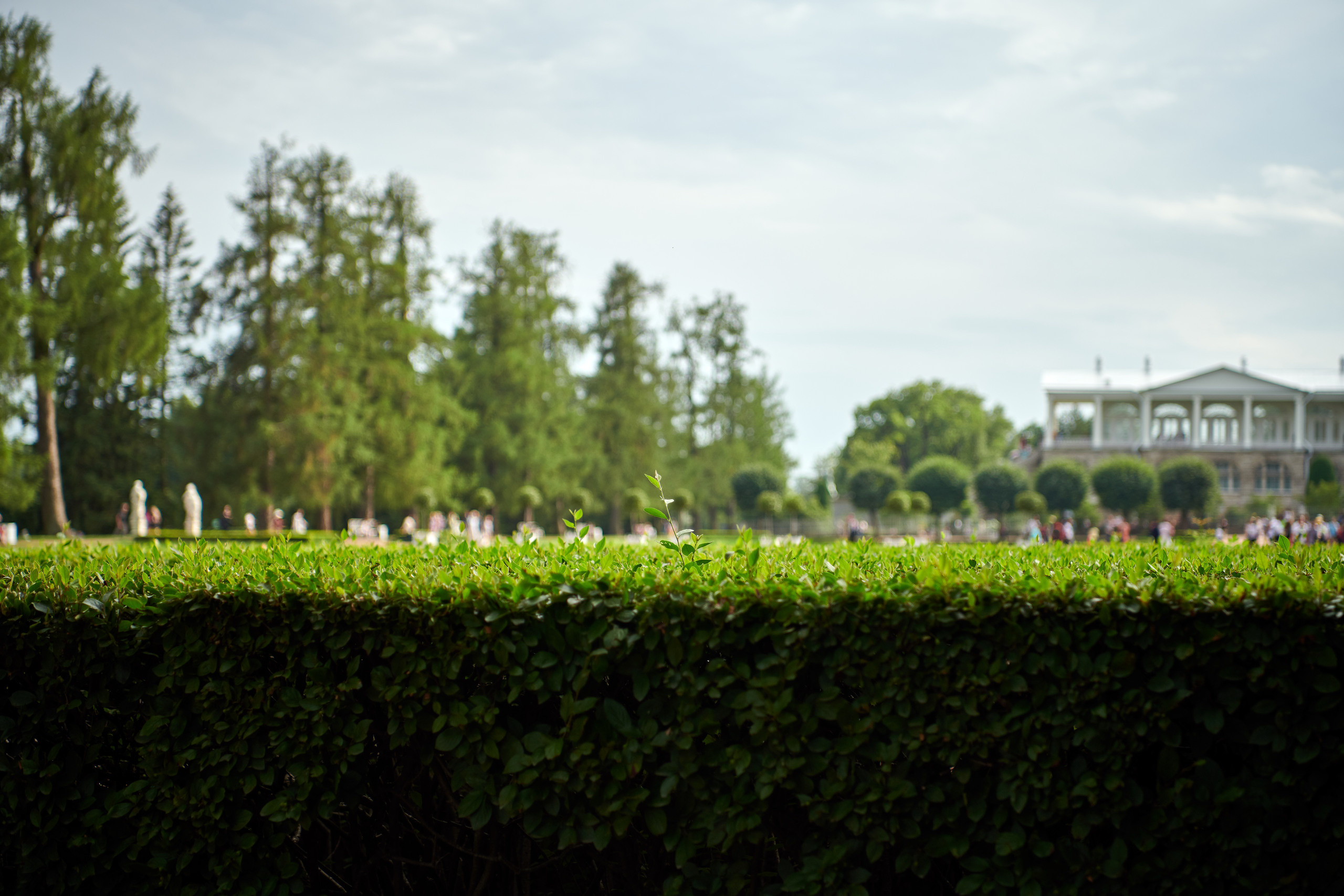 Питер 2018. Владимир Власюк