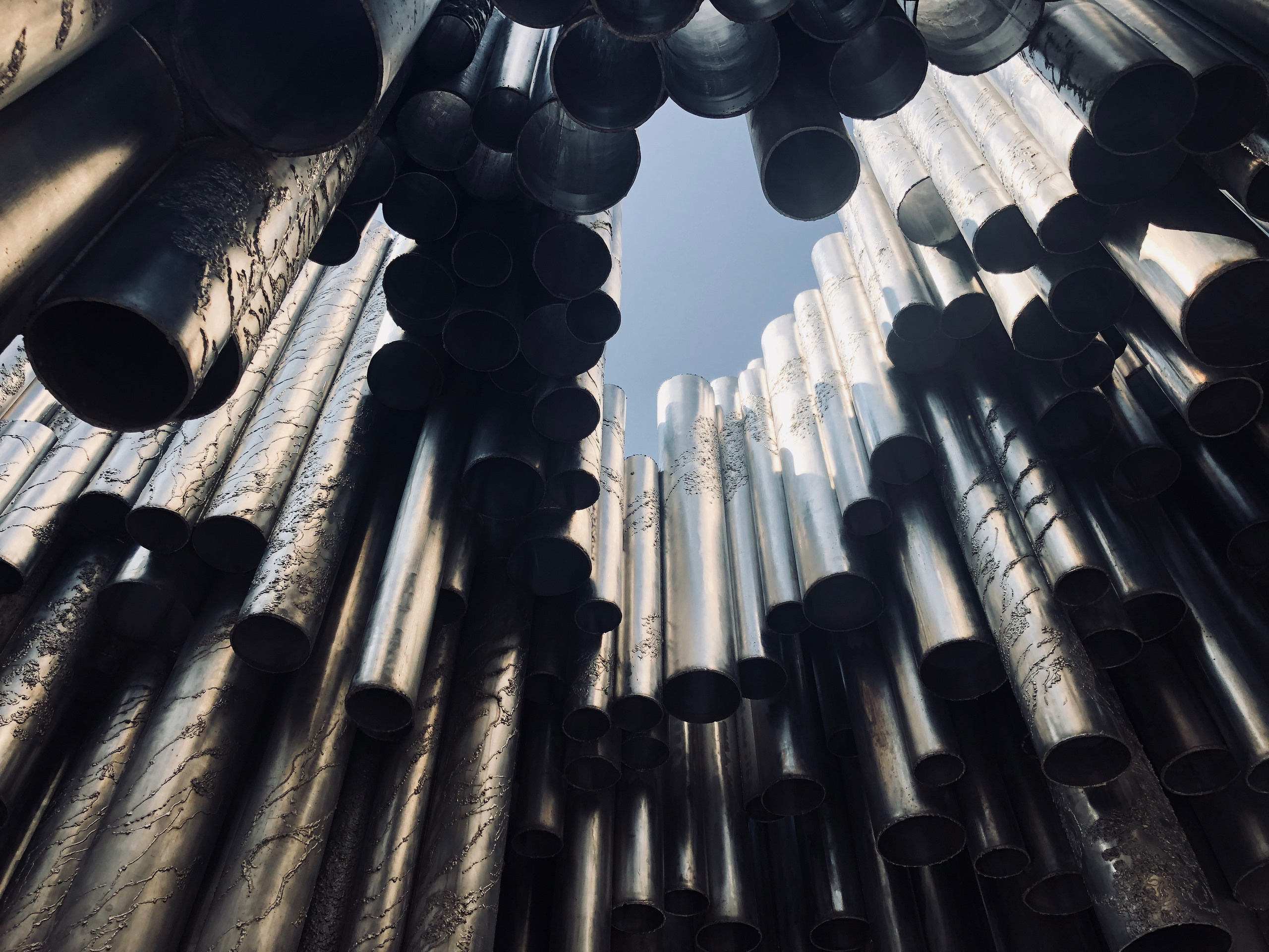 НАШИ ФОТО. Владимир Власюк