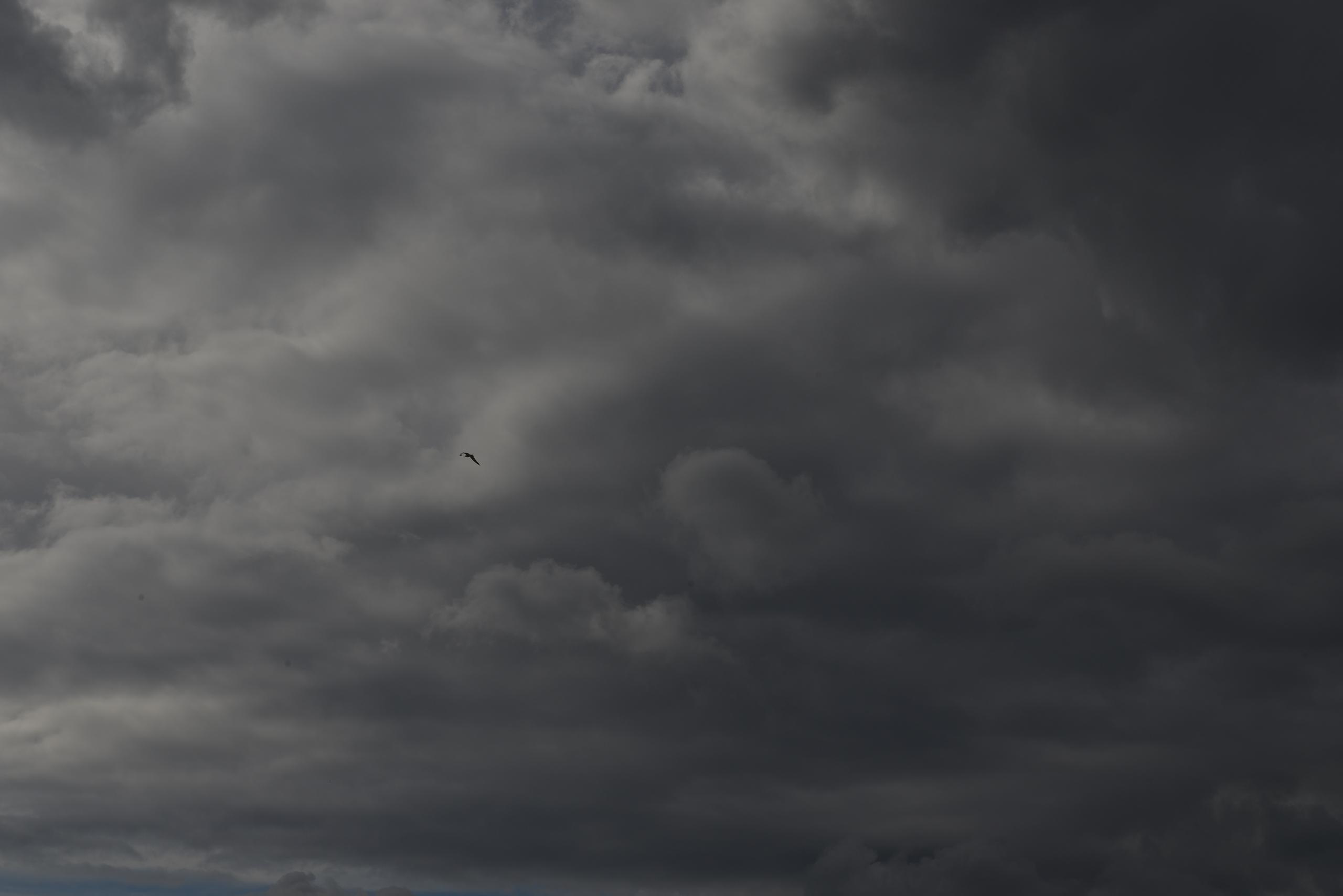 НАШИ ФОТО. Владимир Власюк