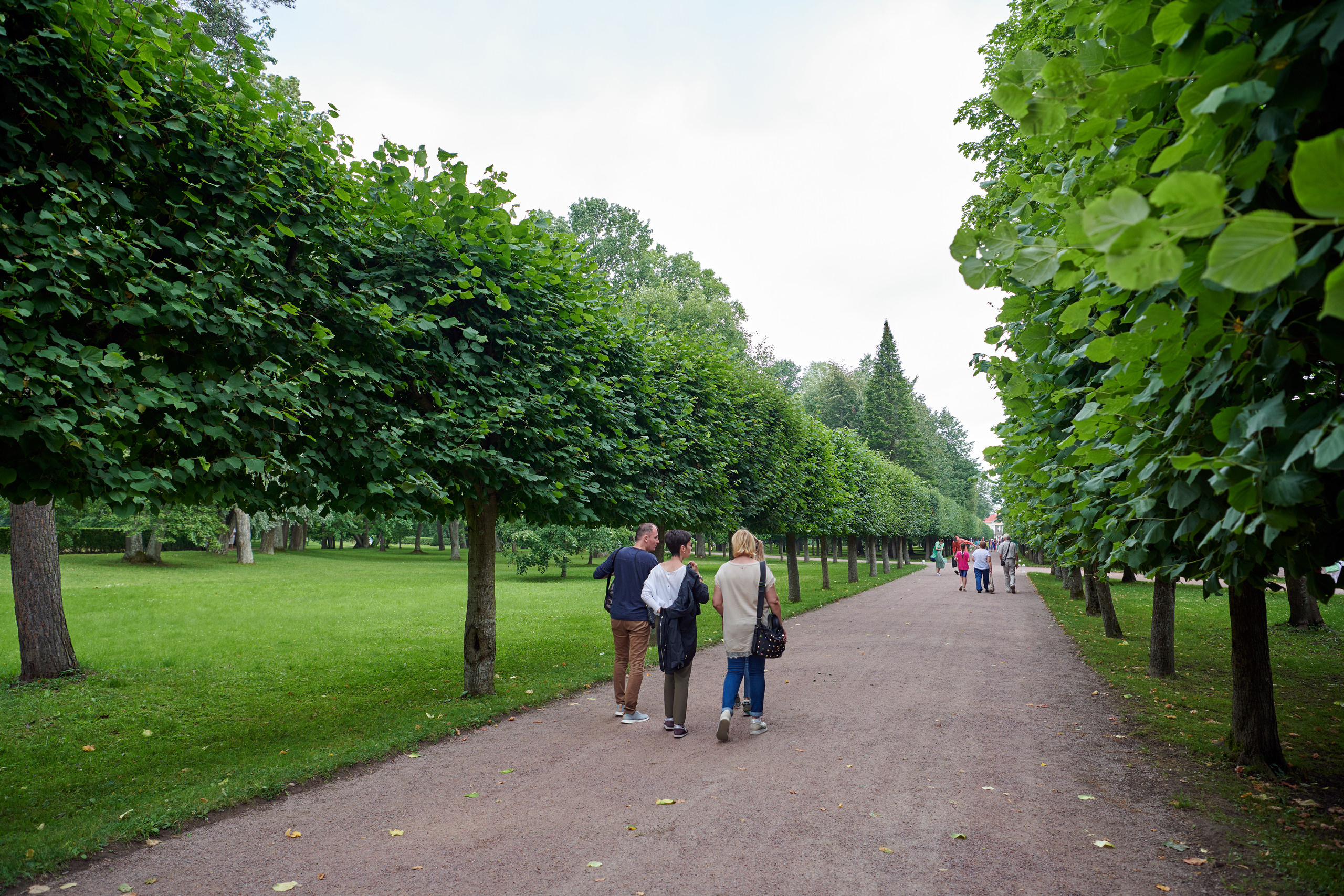 Питер 2018. Владимир Власюк
