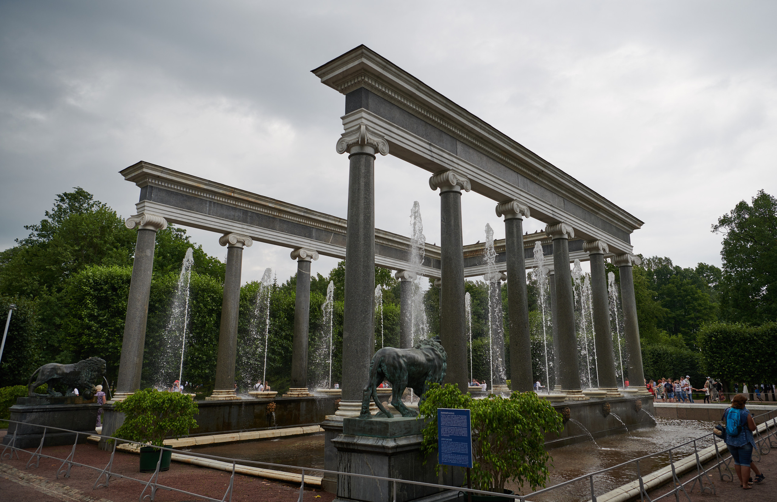 НАШИ ФОТО. Владимир Власюк