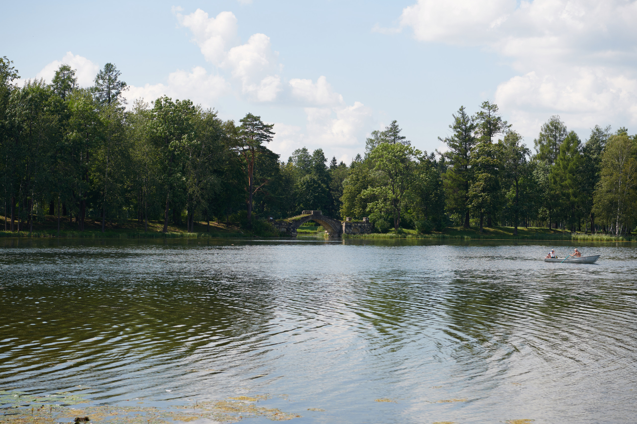 НАШИ ФОТО. Владимир Власюк