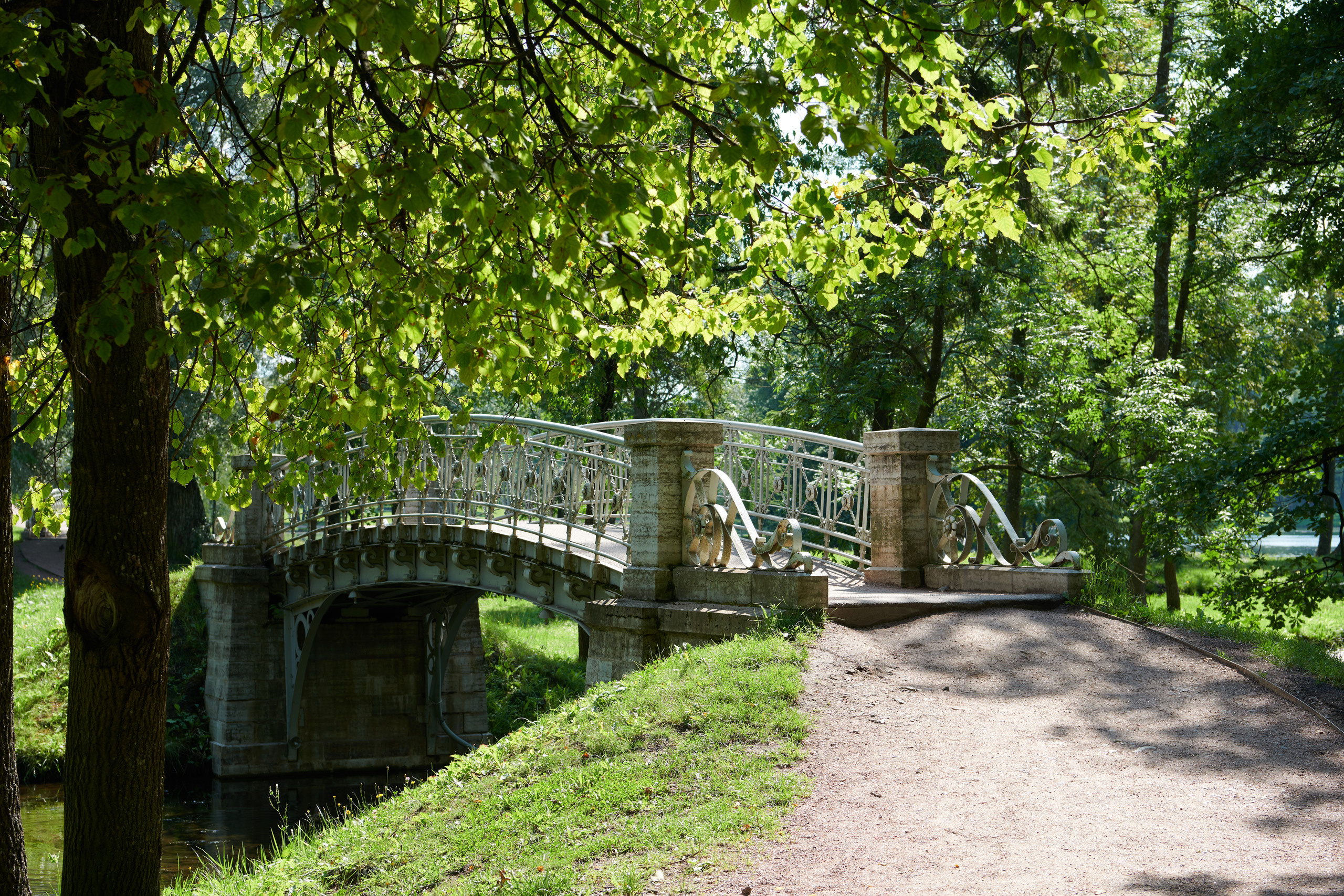 НАШИ ФОТО. Владимир Власюк