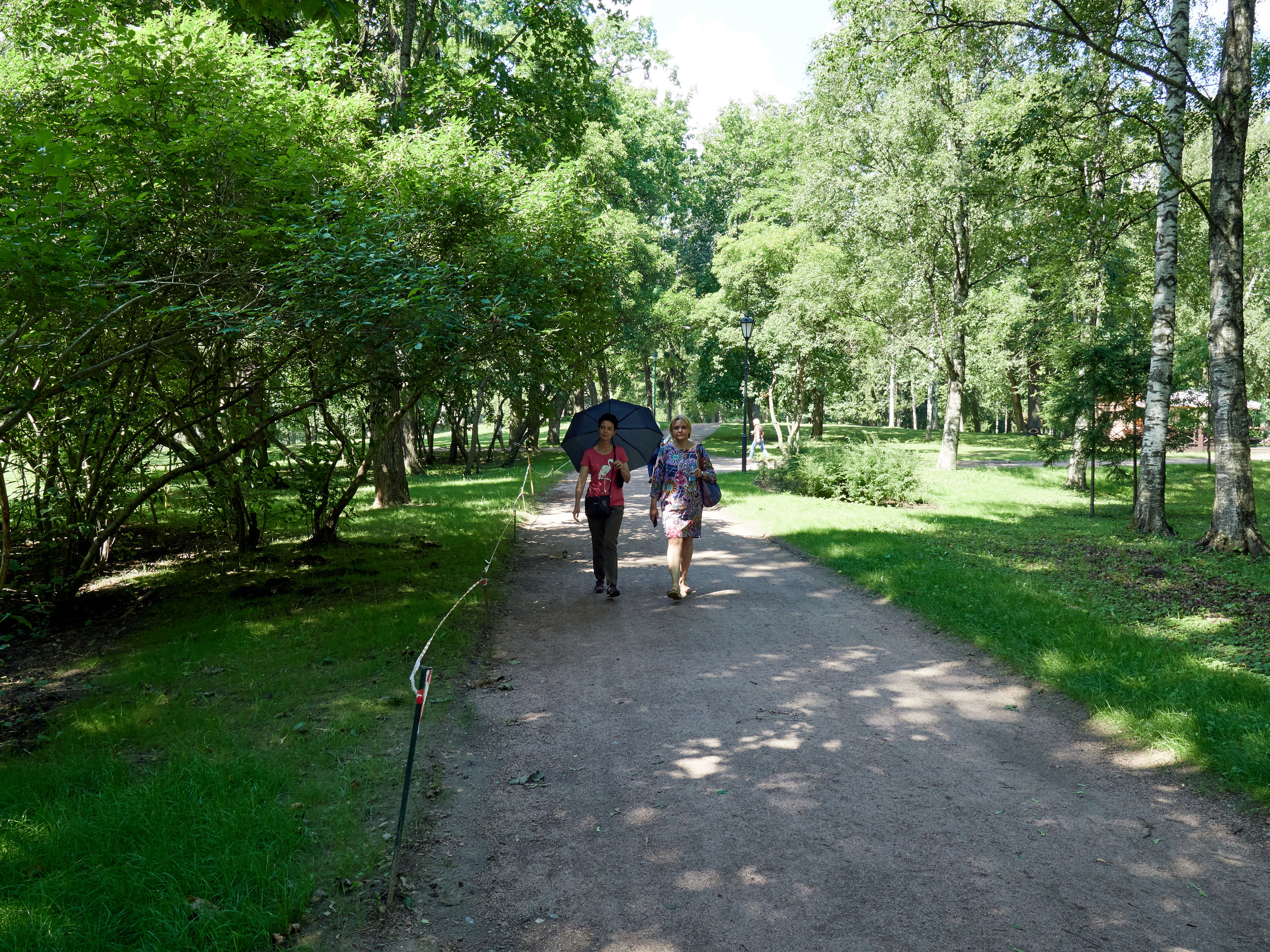 Питер 2018. Владимир Власюк