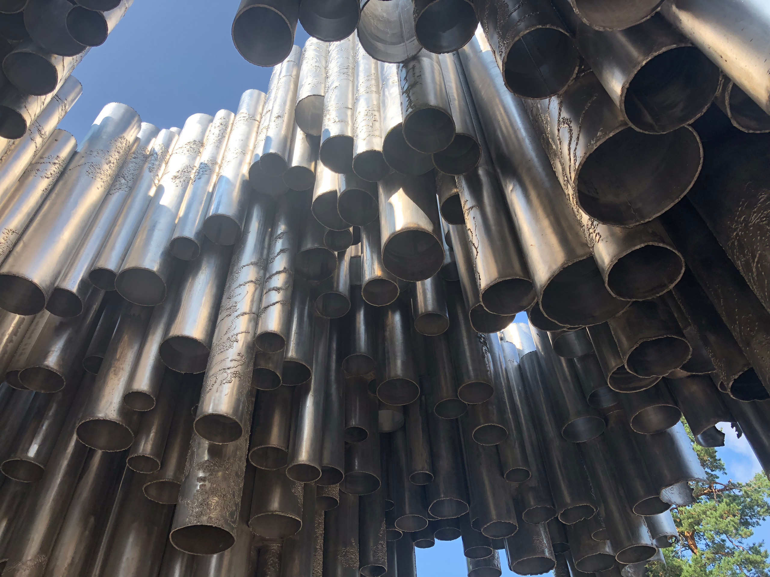 НАШИ ФОТО. Владимир Власюк