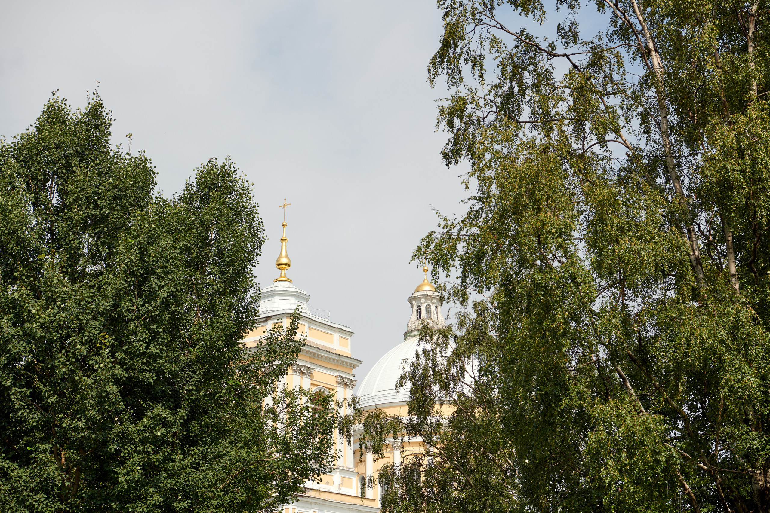 НАШИ ФОТО. Владимир Власюк