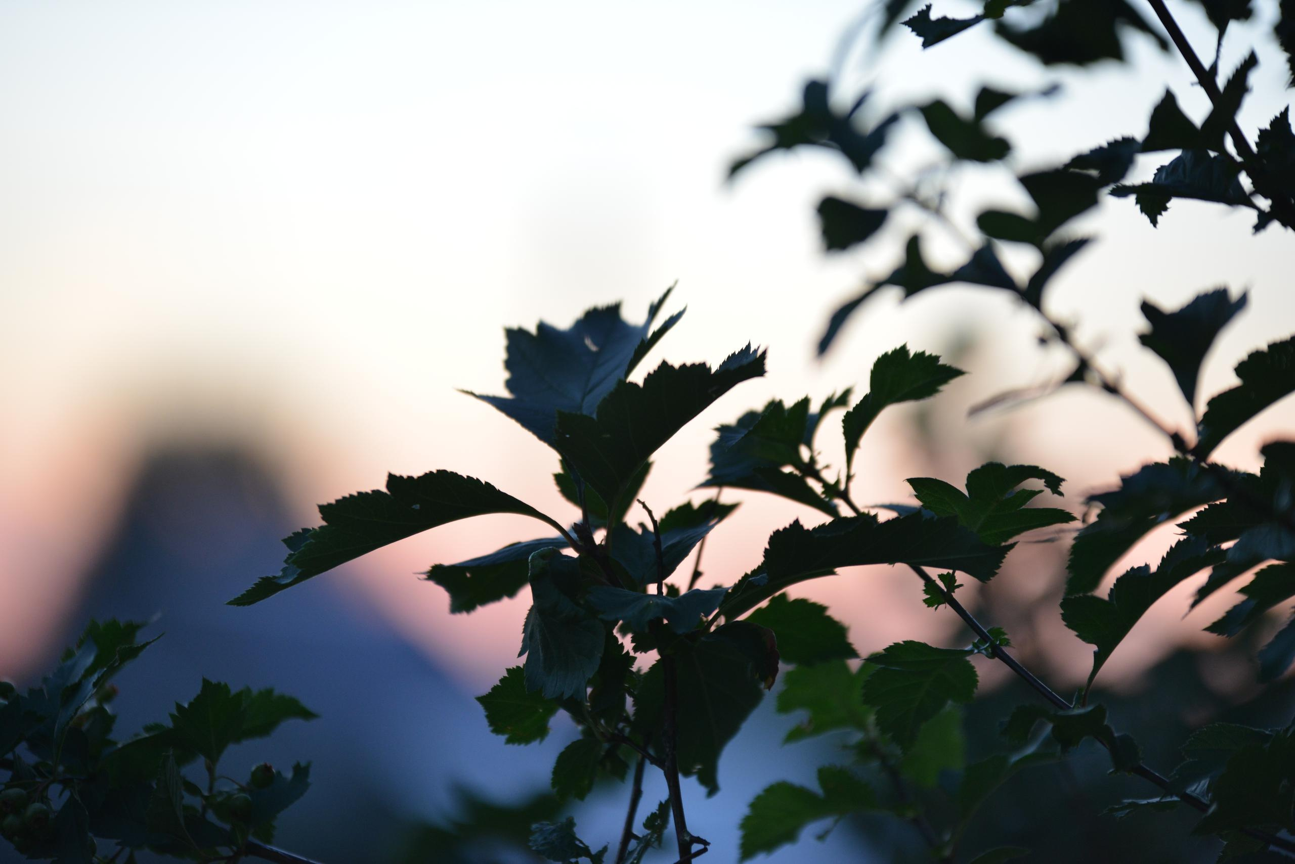 НАШИ ФОТО. Владимир Власюк