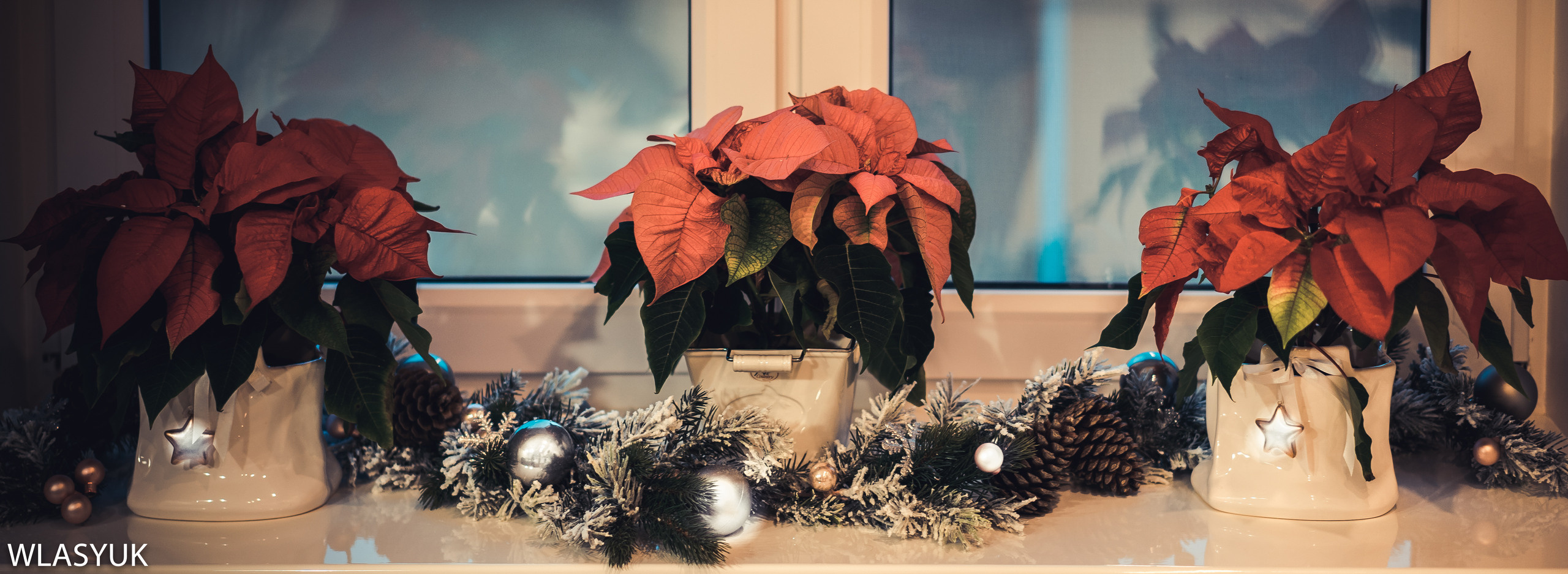 Екатеринбург. Владимир Власюк