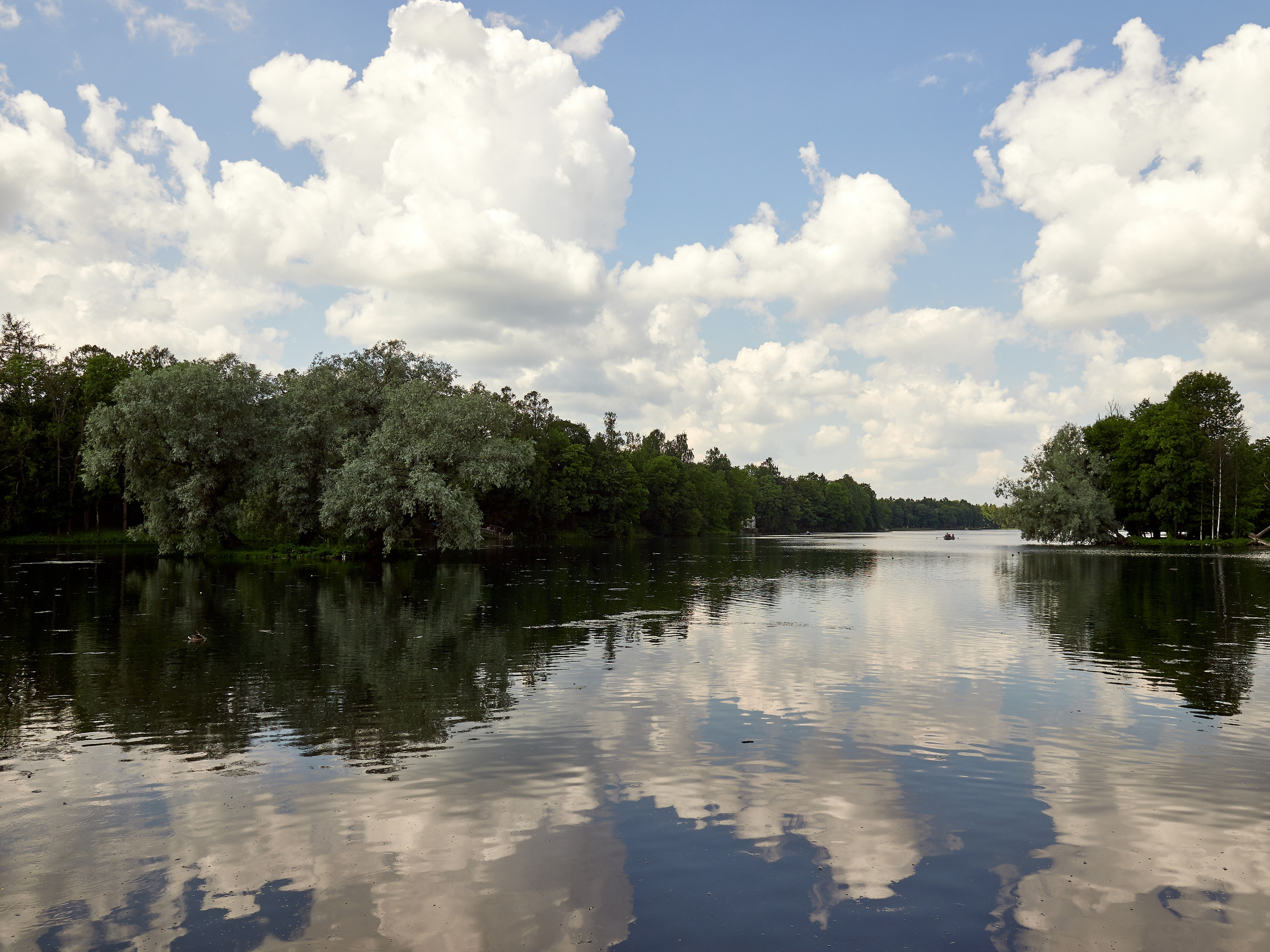 НАШИ ФОТО. Владимир Власюк