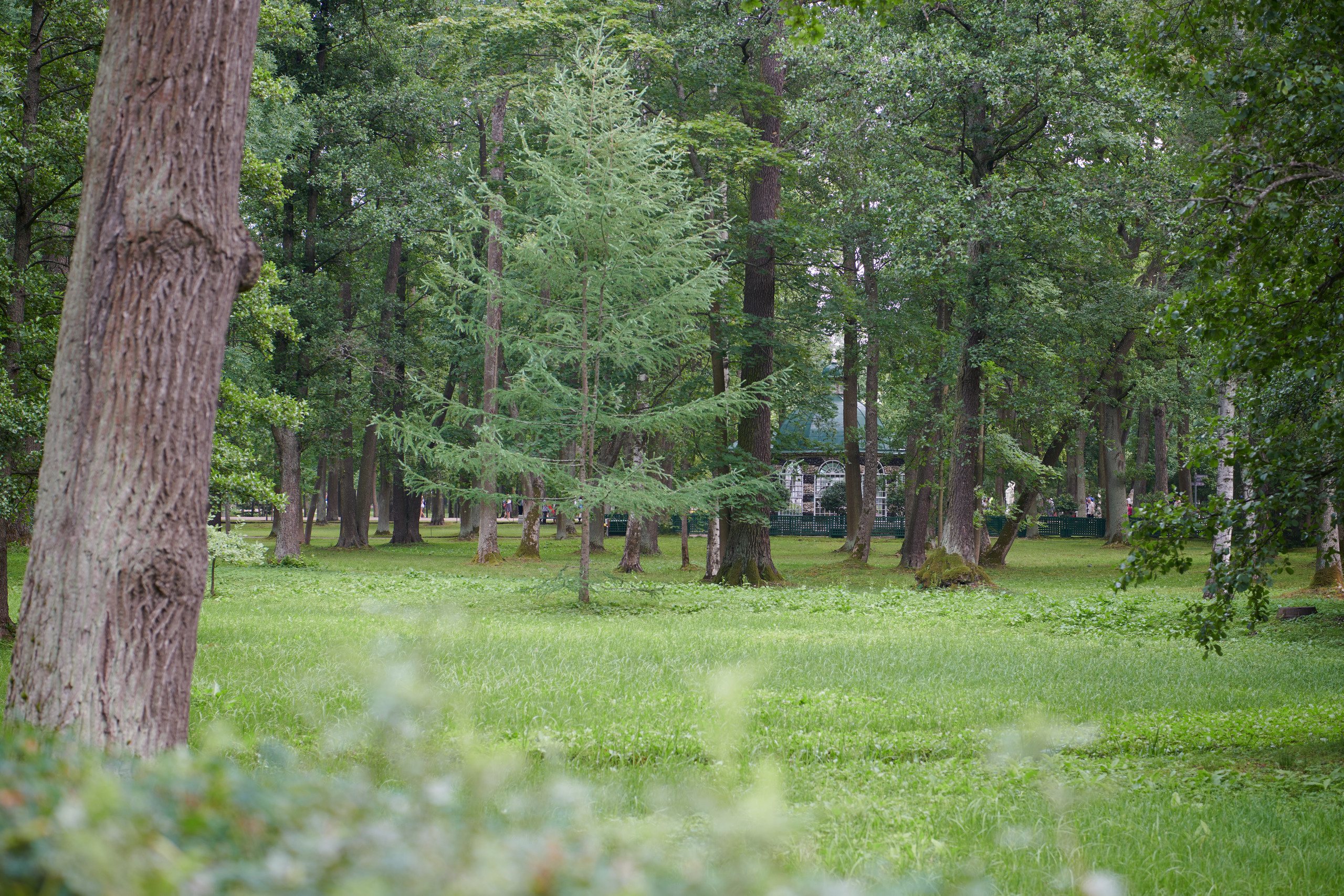Питер 2018. Владимир Власюк