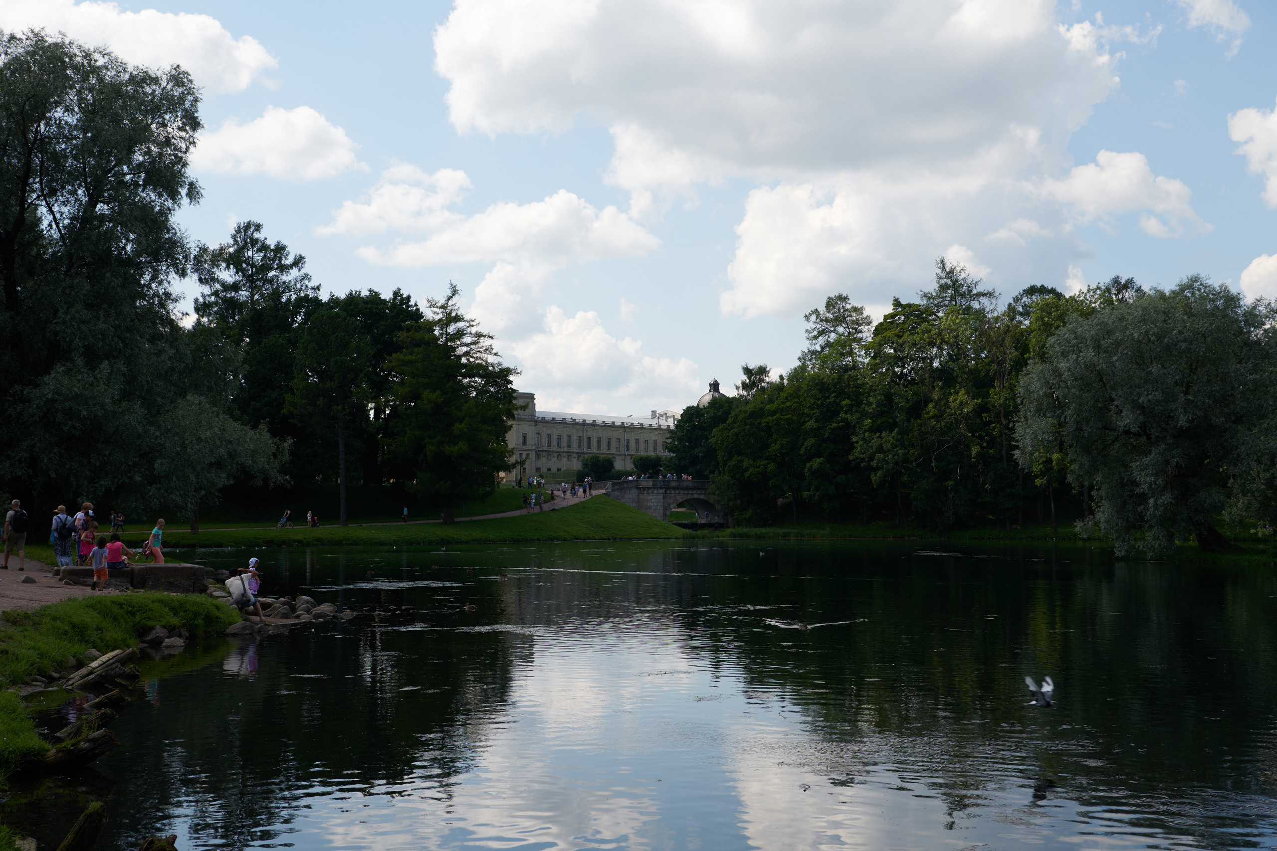 НАШИ ФОТО. Владимир Власюк
