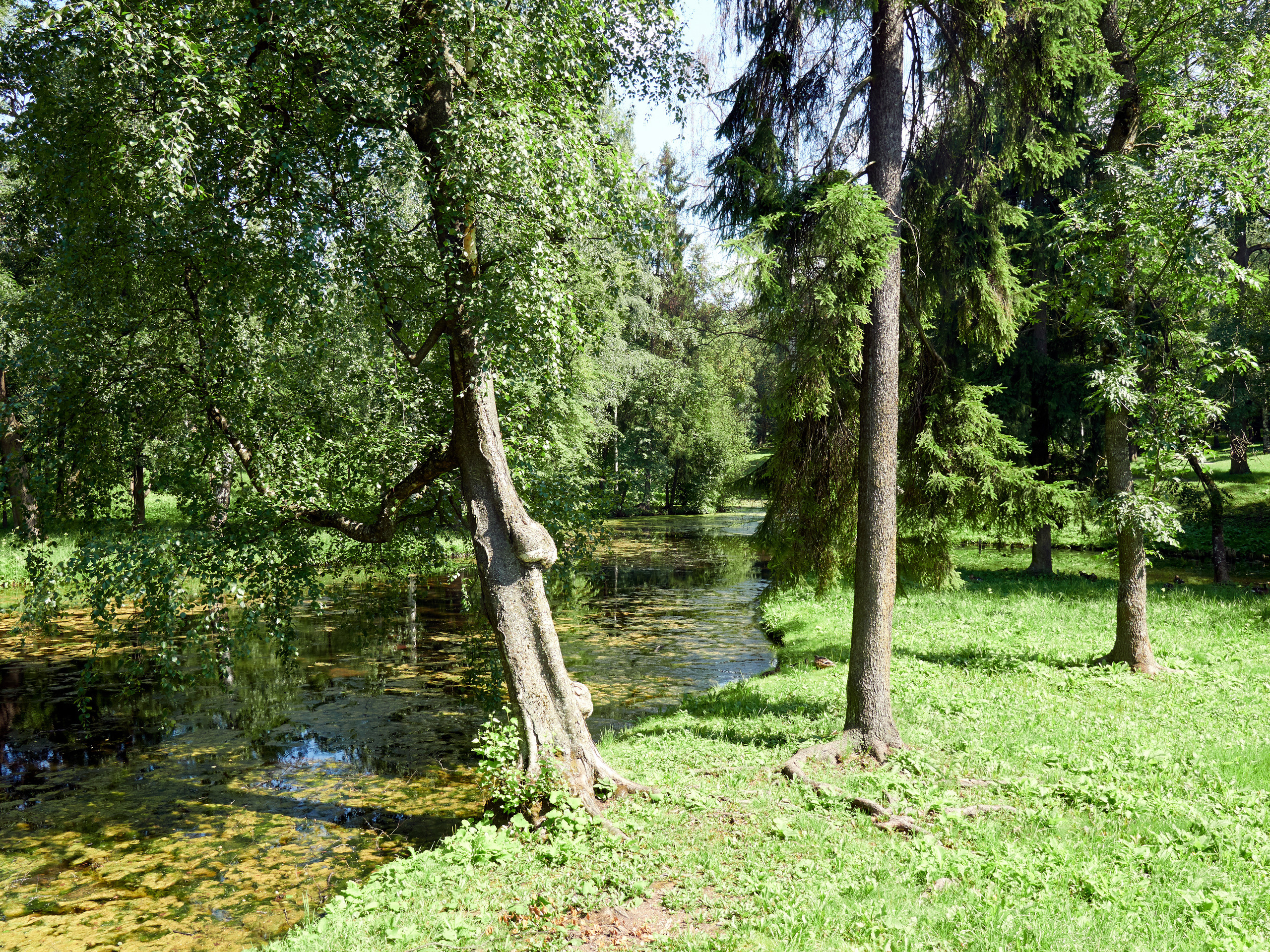 НАШИ ФОТО. Владимир Власюк