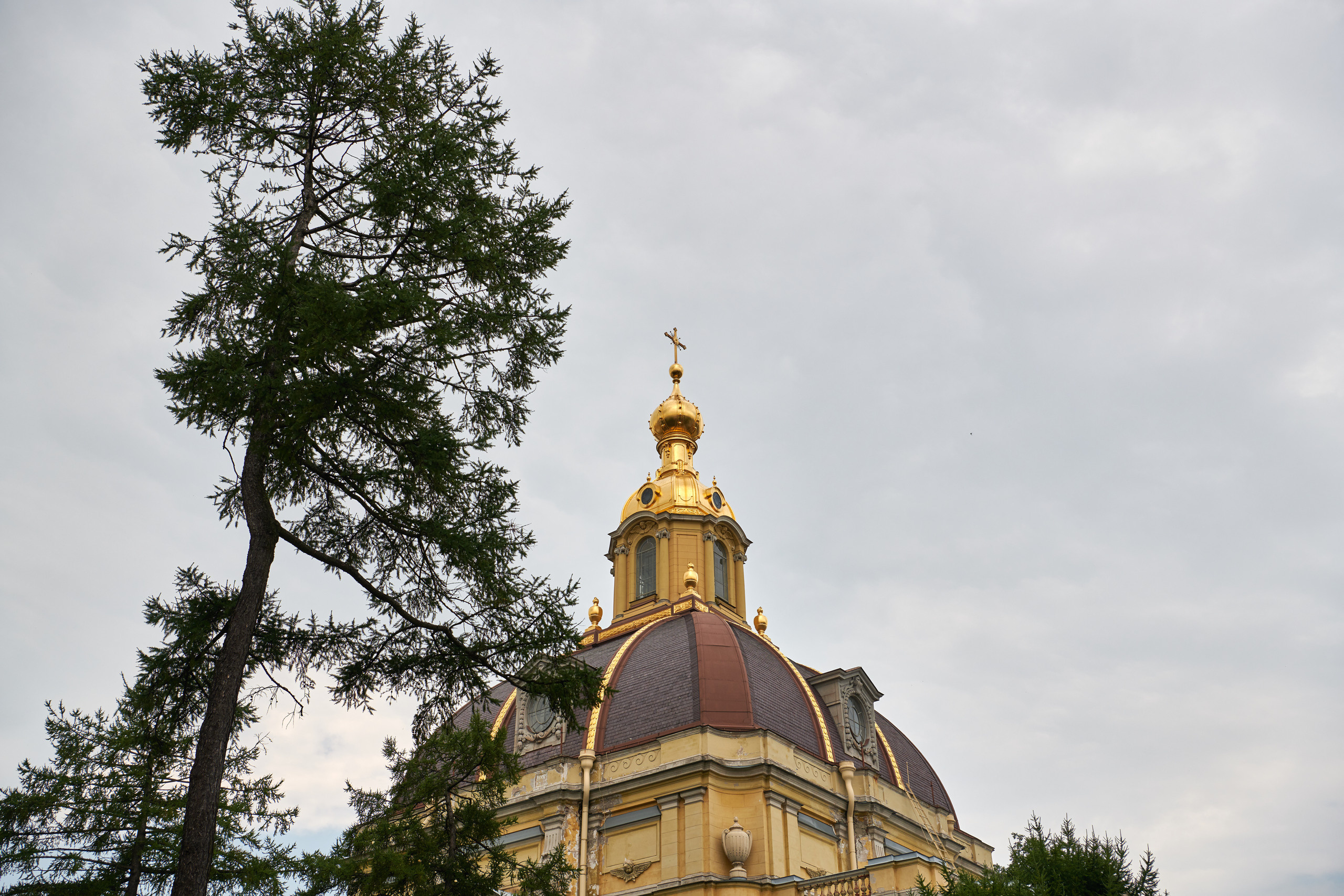 НАШИ ФОТО. Владимир Власюк