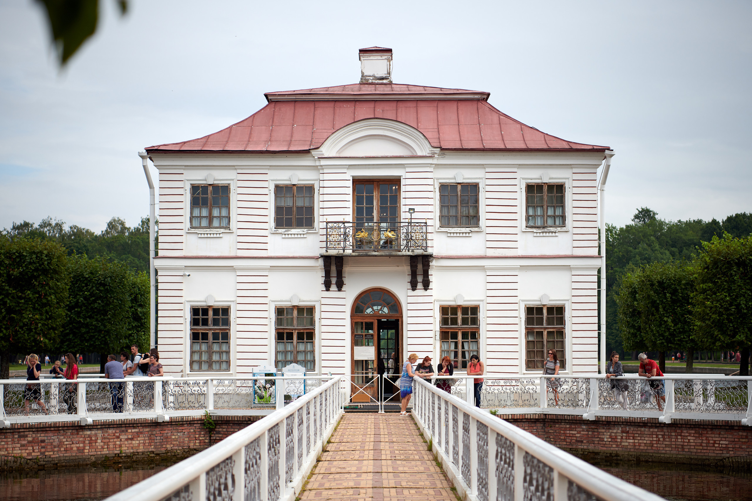 НАШИ ФОТО. Владимир Власюк