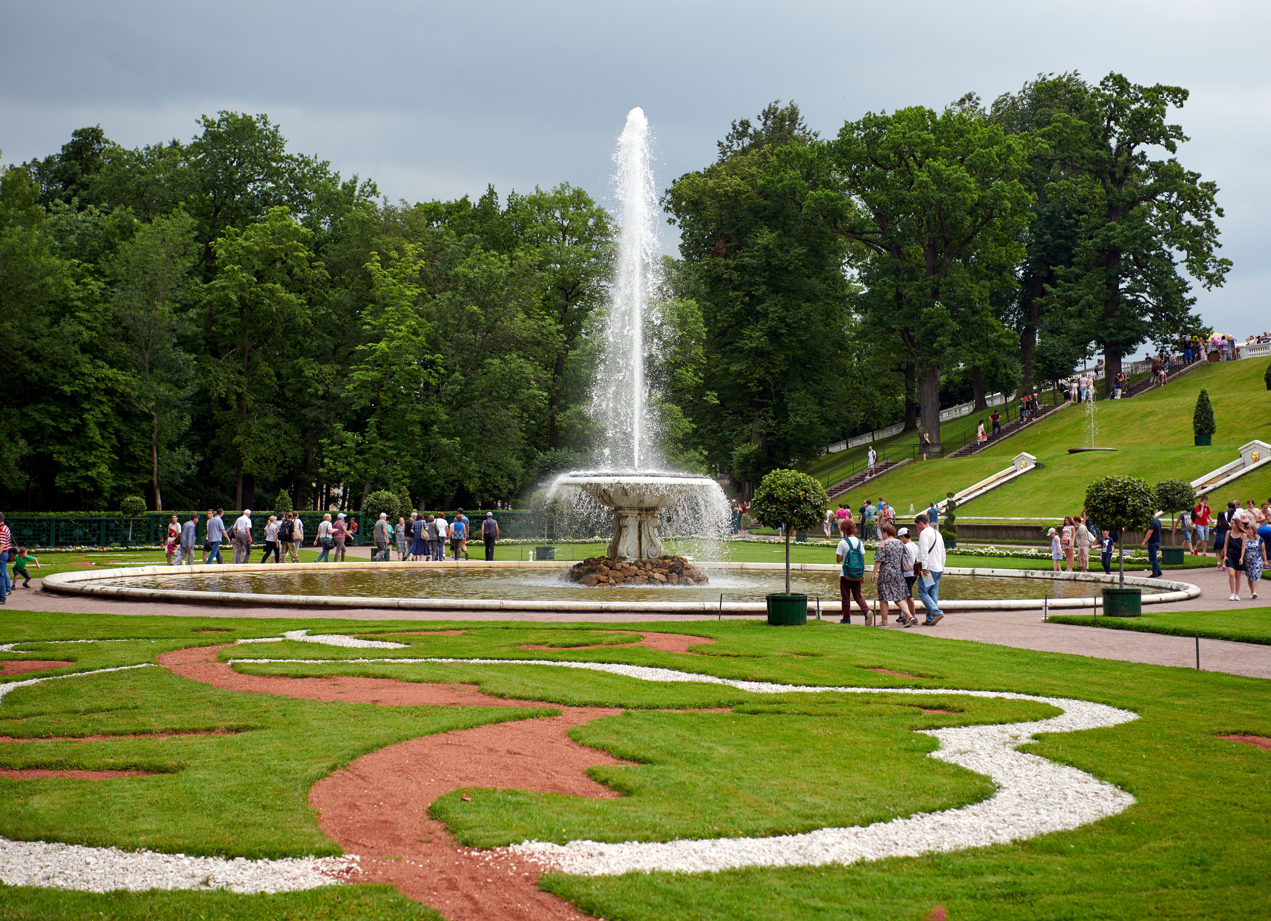НАШИ ФОТО. Владимир Власюк