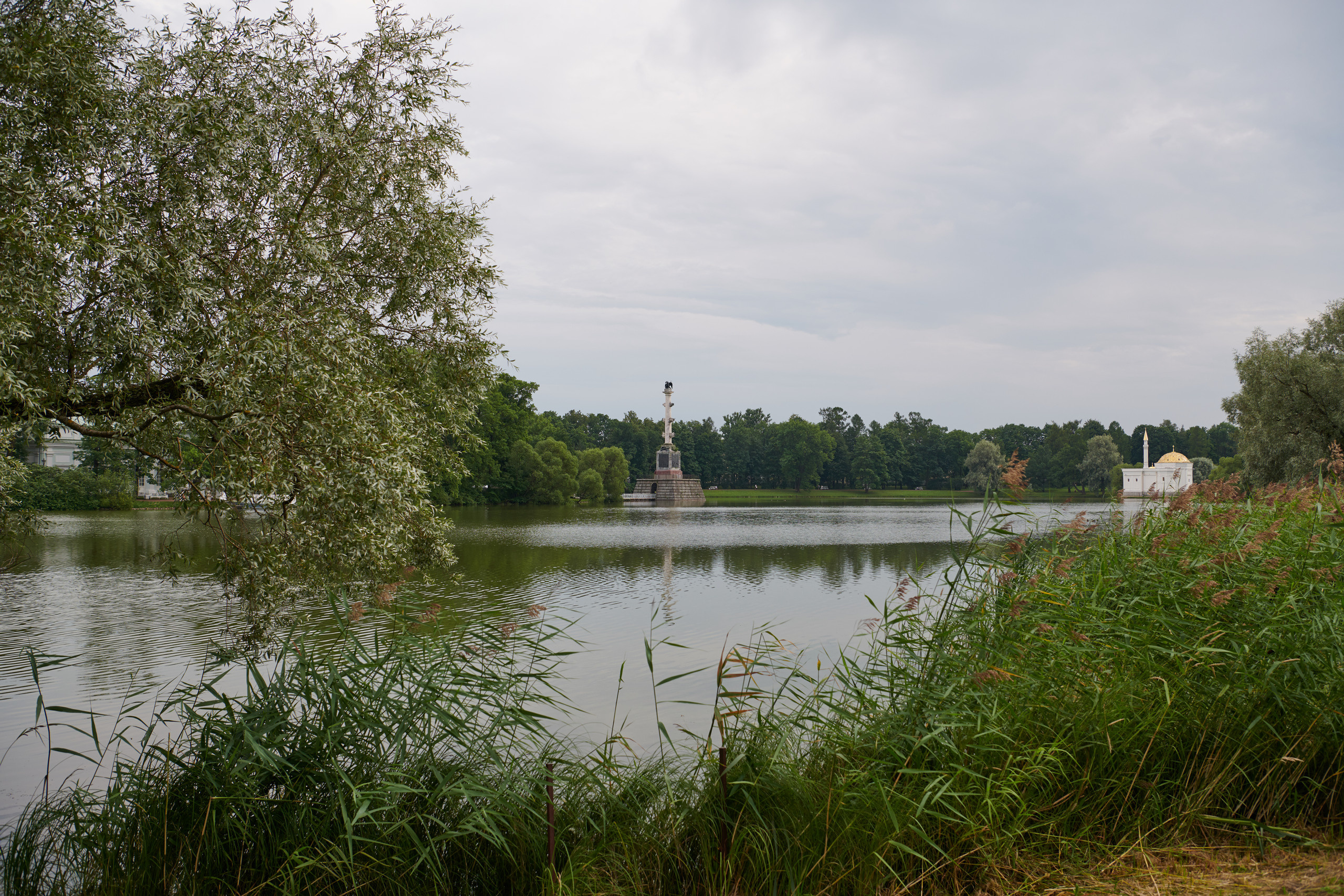 НАШИ ФОТО. Владимир Власюк