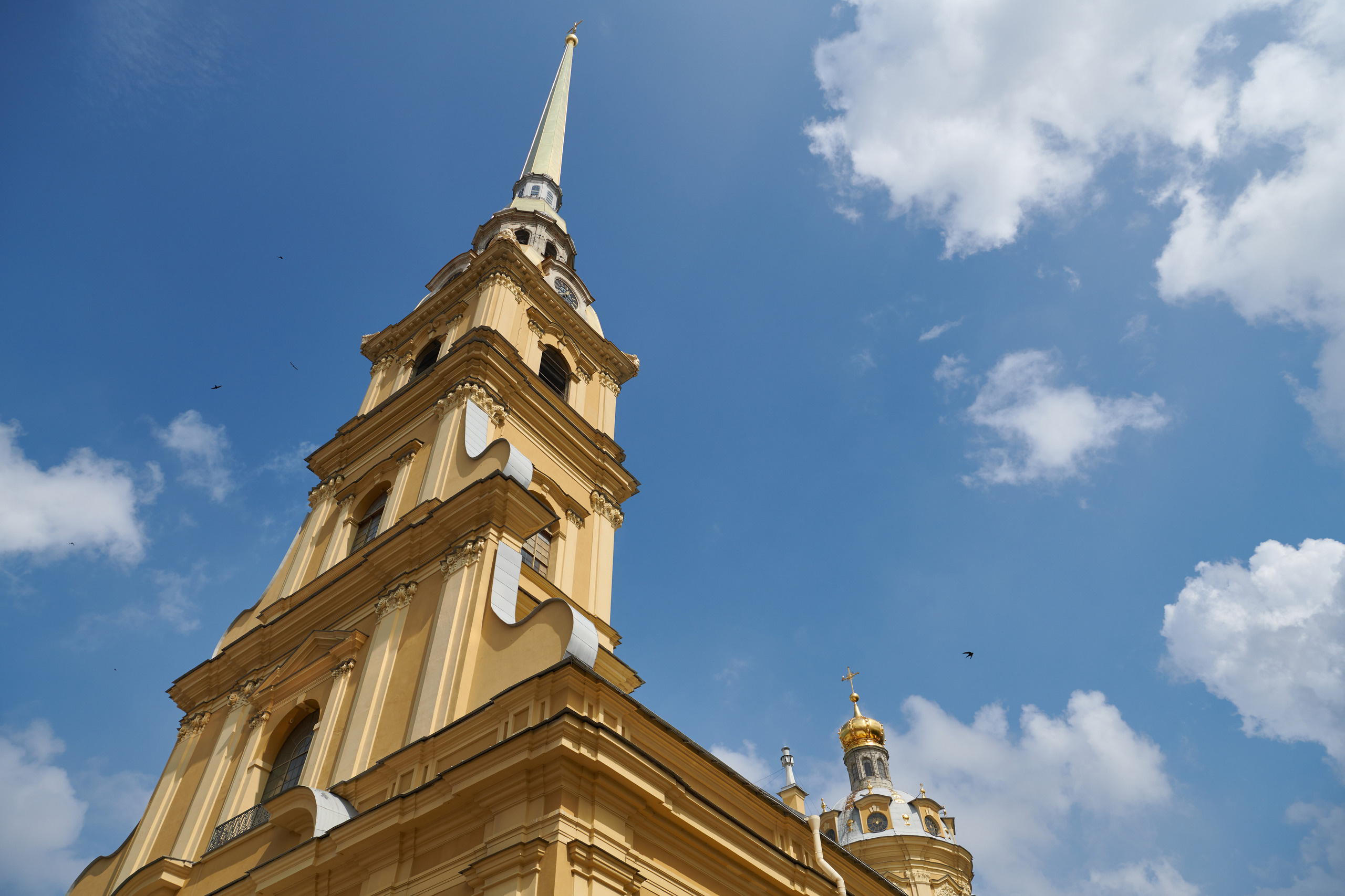 НАШИ ФОТО. Владимир Власюк