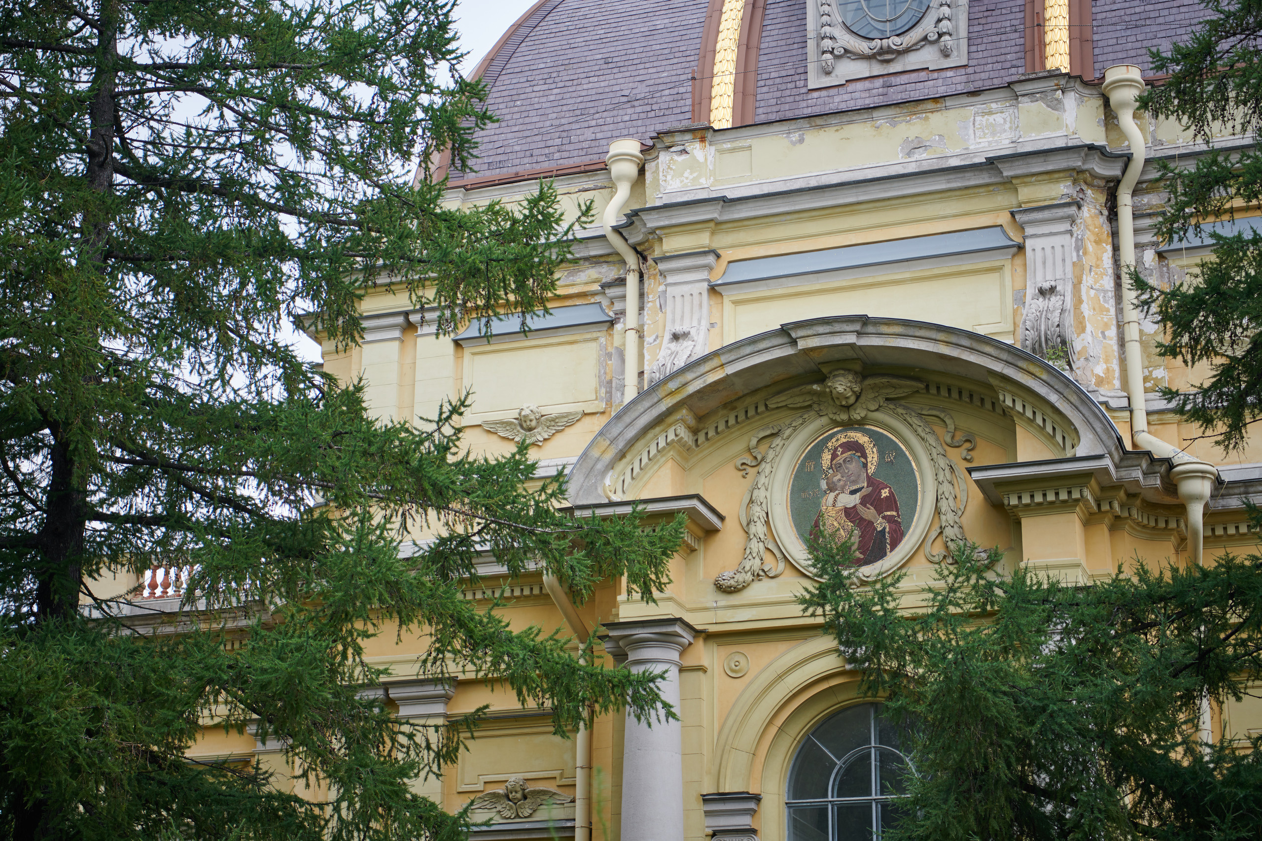 НАШИ ФОТО. Владимир Власюк