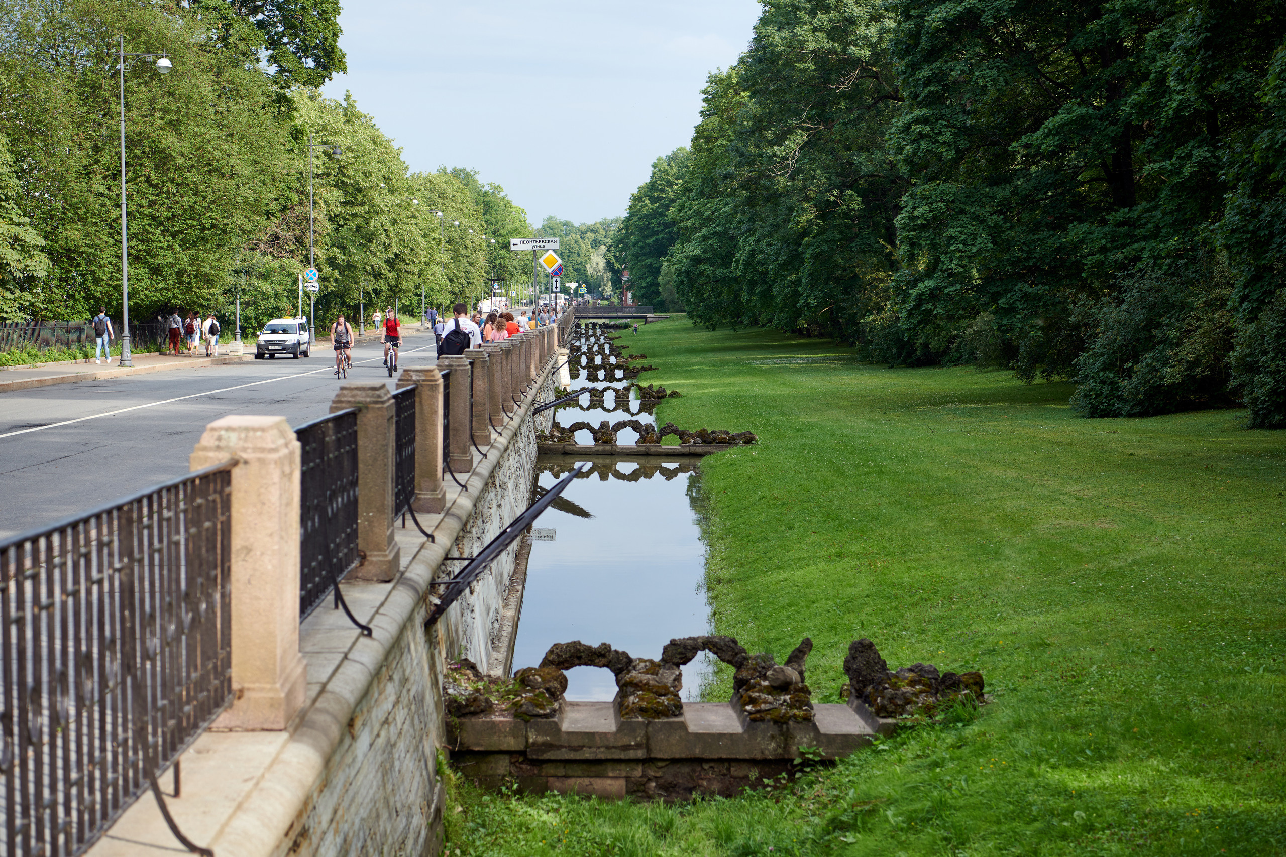 НАШИ ФОТО. Владимир Власюк