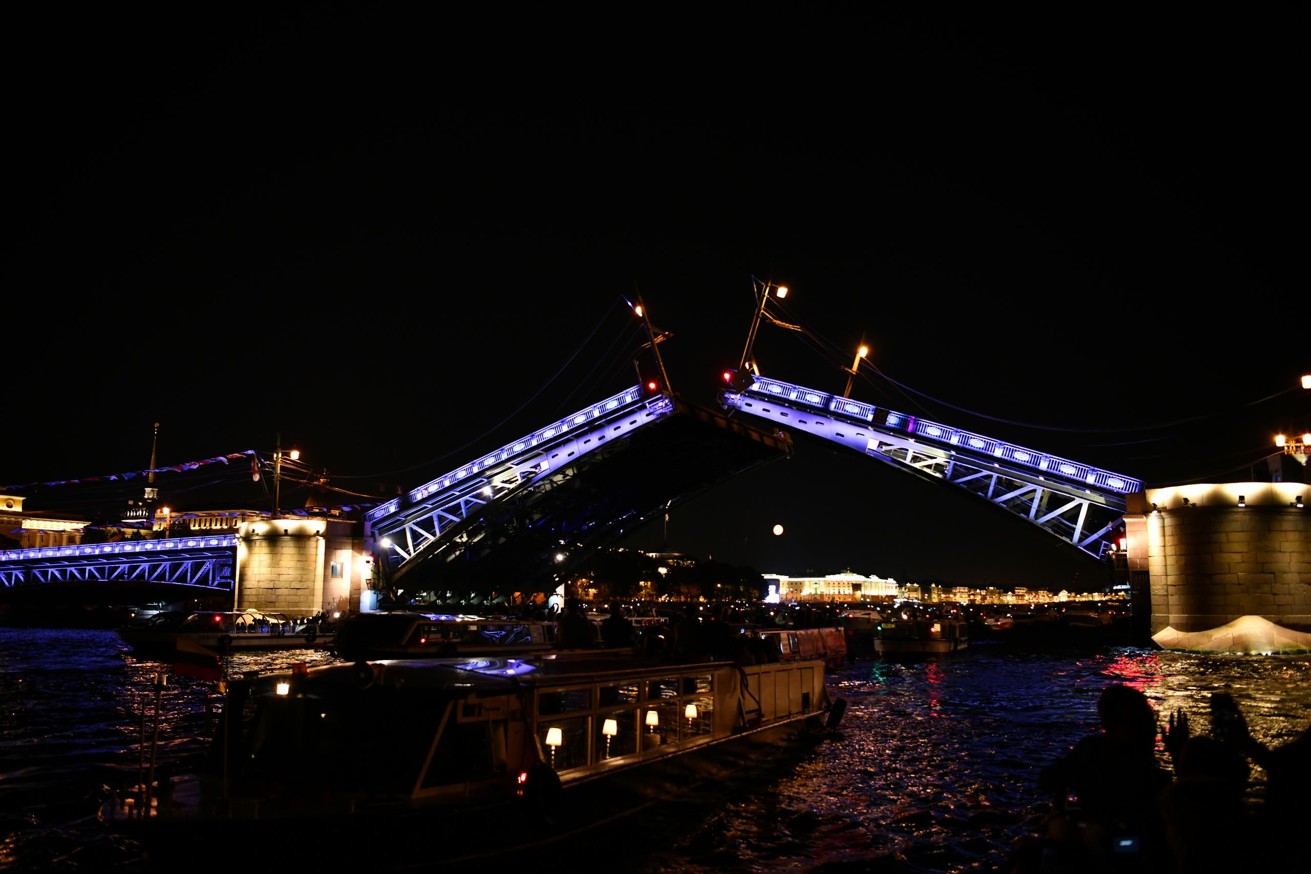 НАШИ ФОТО. Владимир Власюк