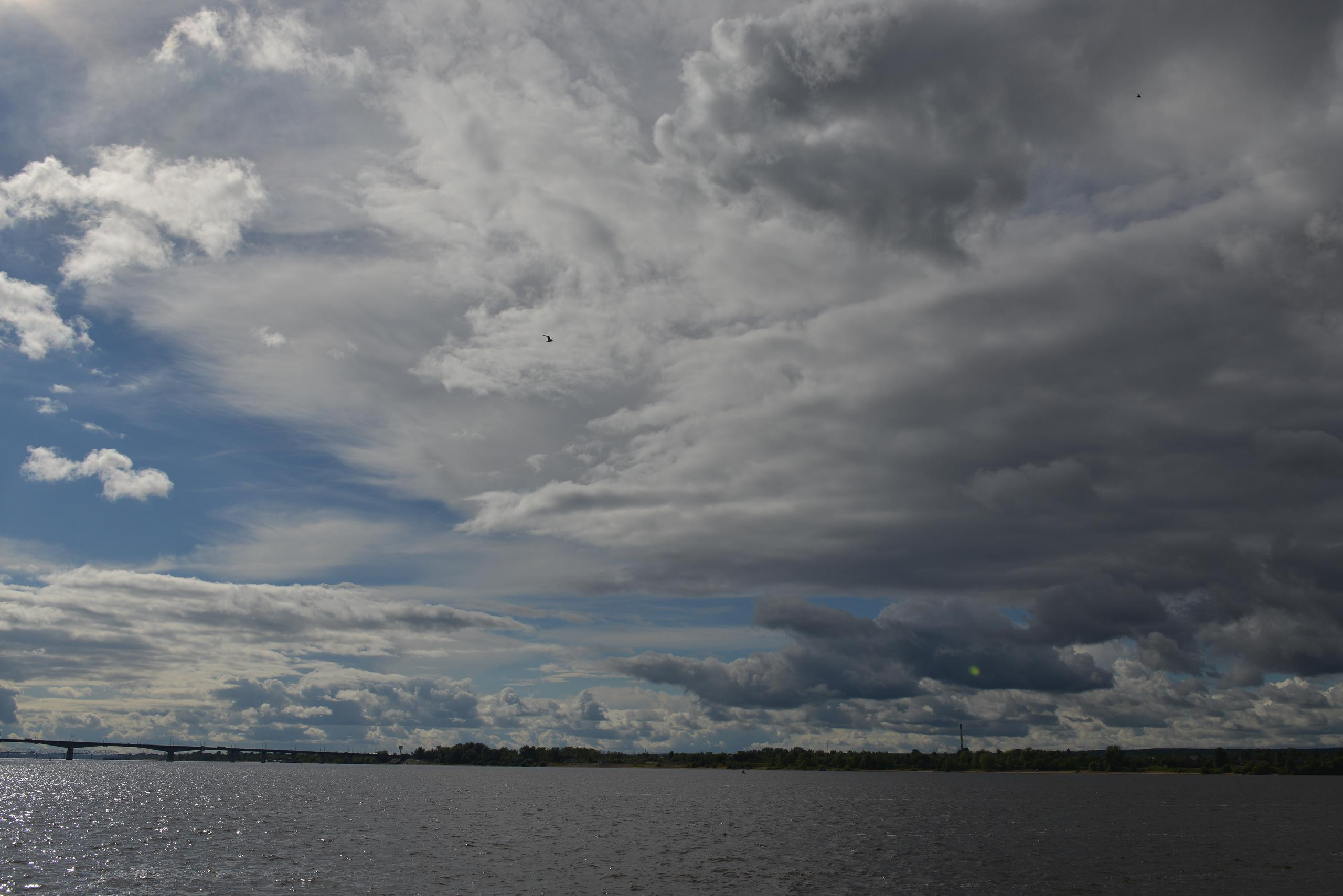 НАШИ ФОТО. Владимир Власюк