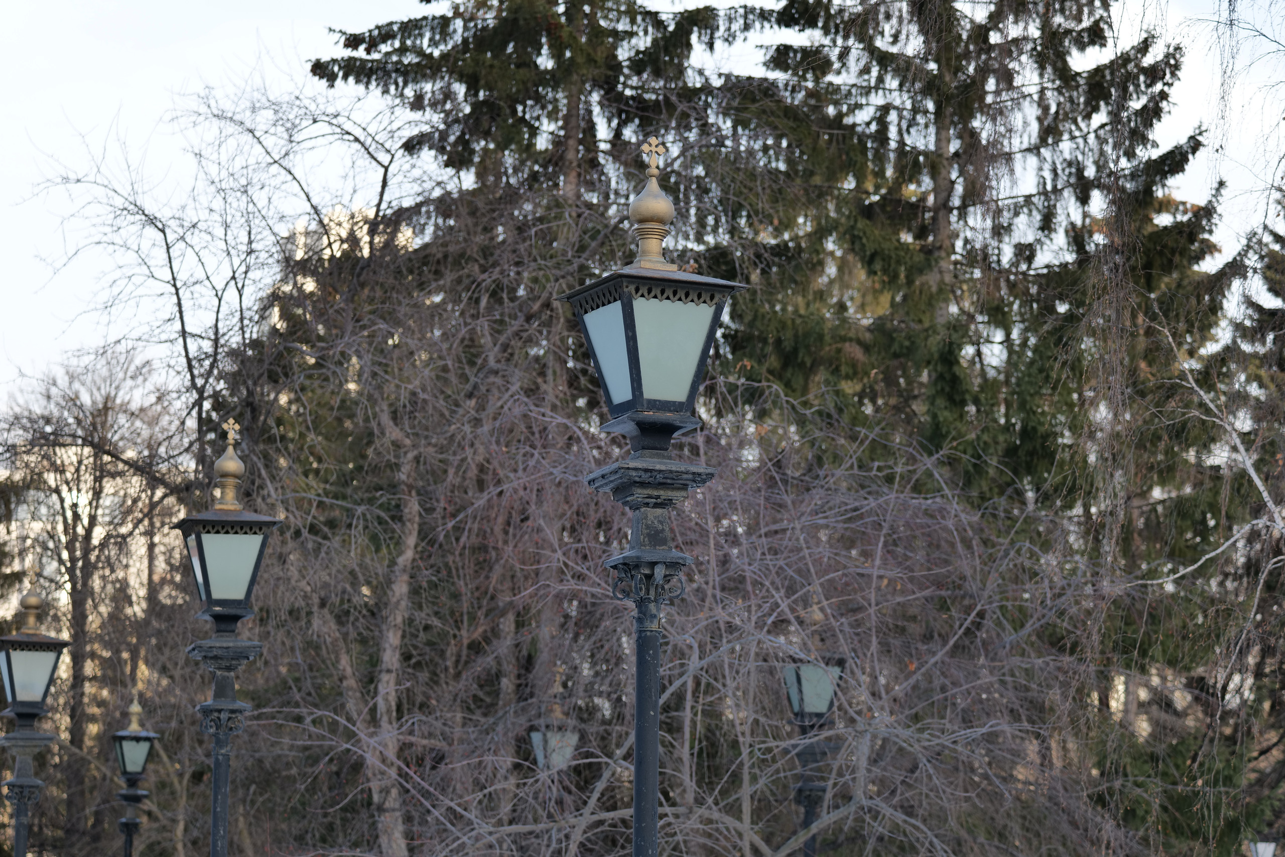 НАШИ ФОТО. Владимир Власюк