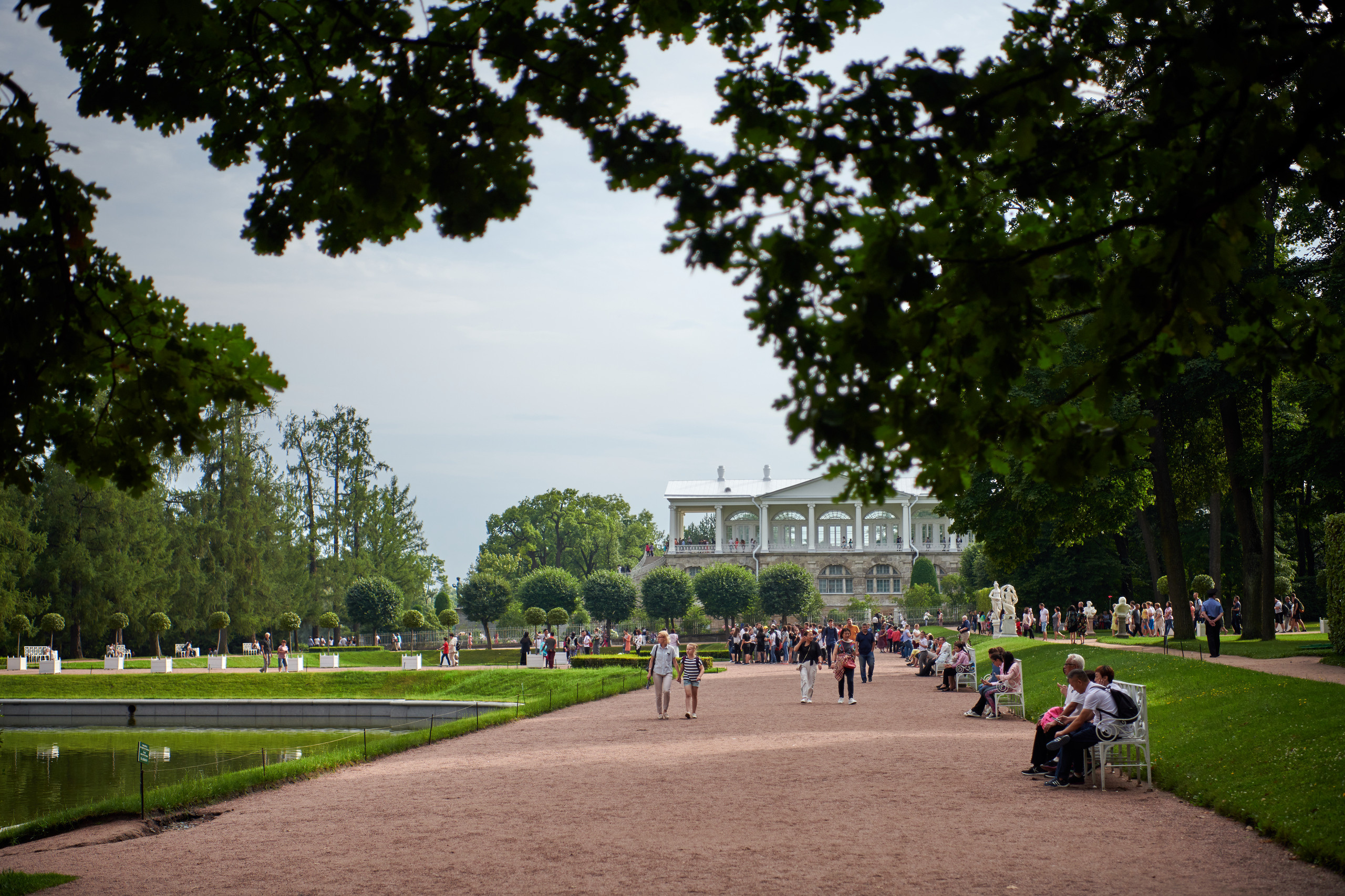 НАШИ ФОТО. Владимир Власюк