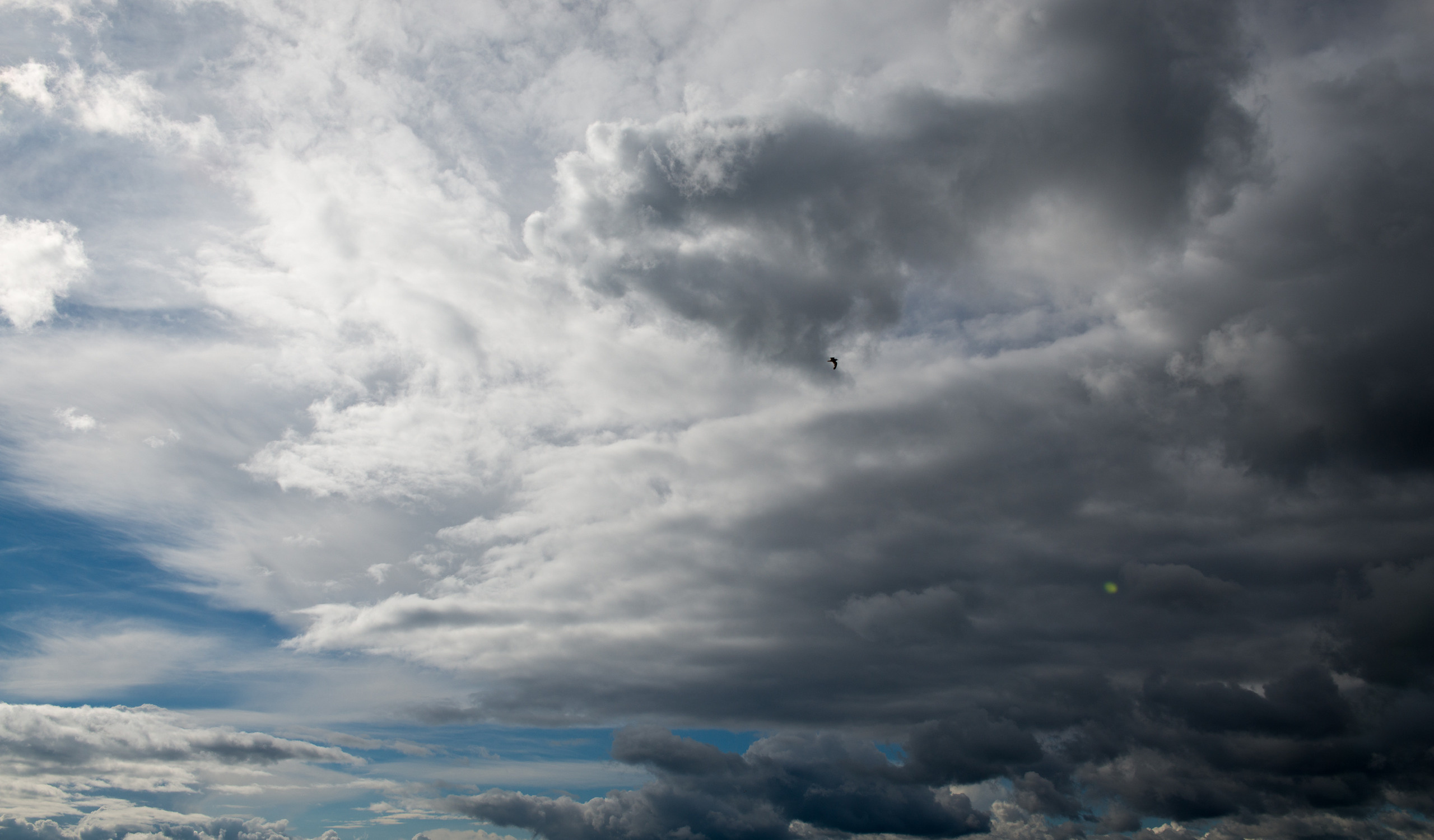 НАШИ ФОТО. Владимир Власюк