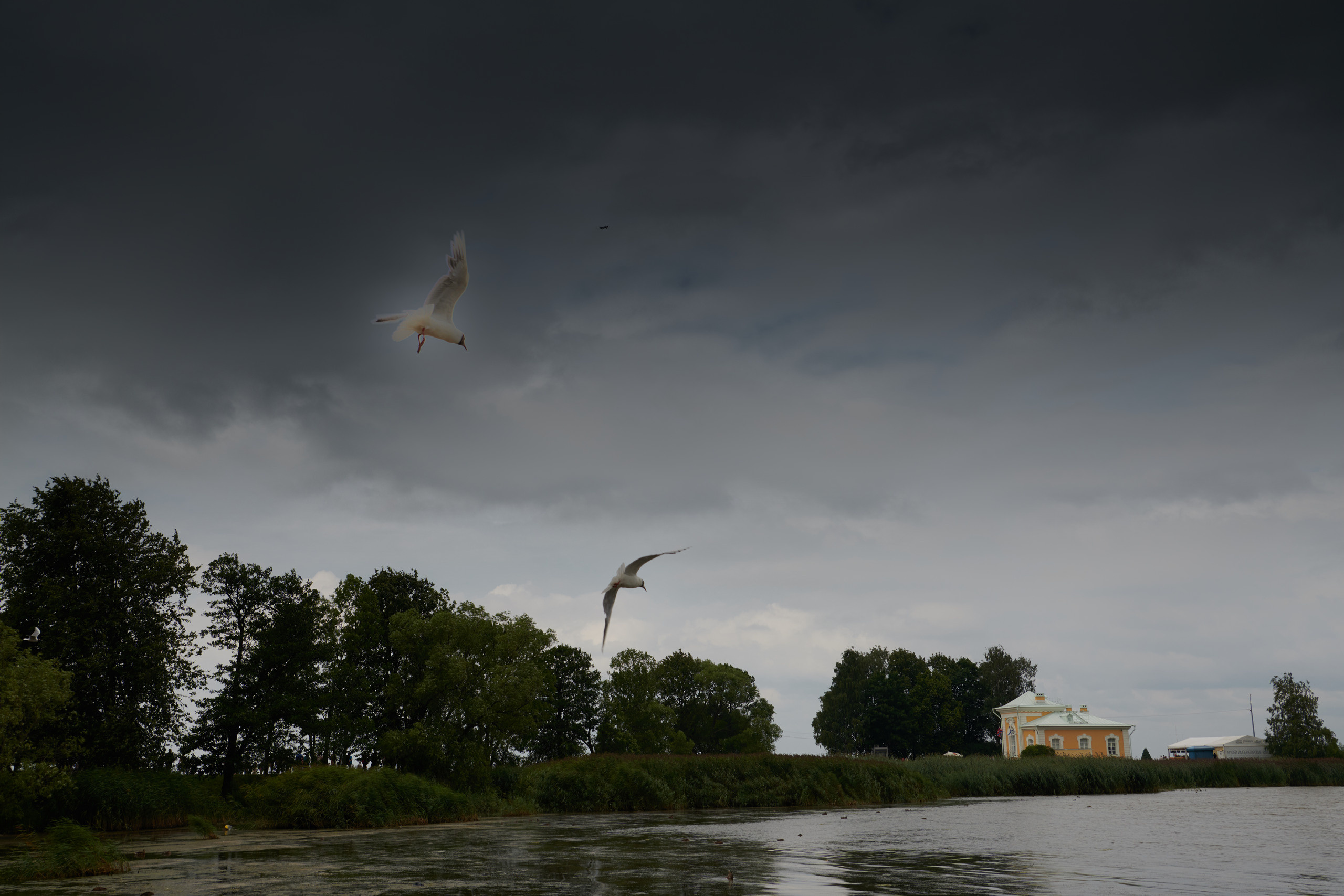 Питер 2018. Владимир Власюк