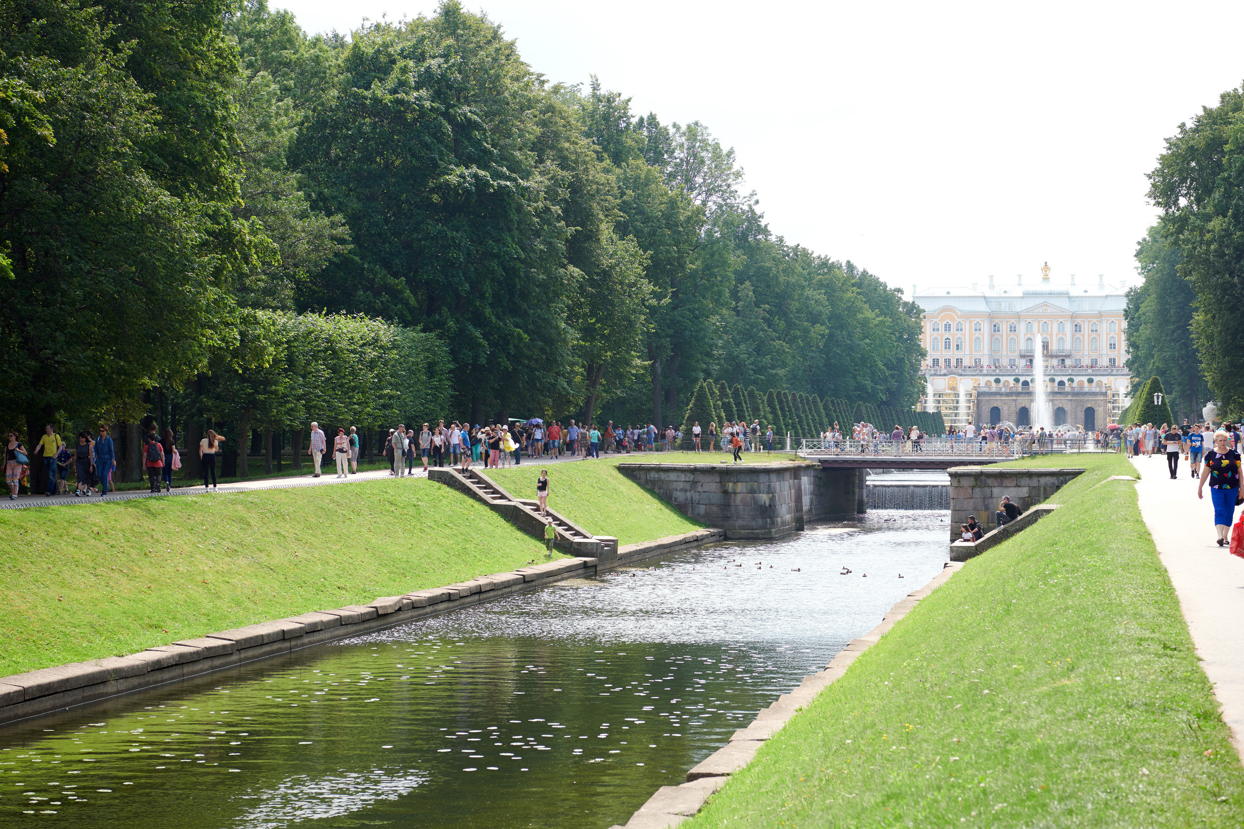 Питер 2018. Владимир Власюк