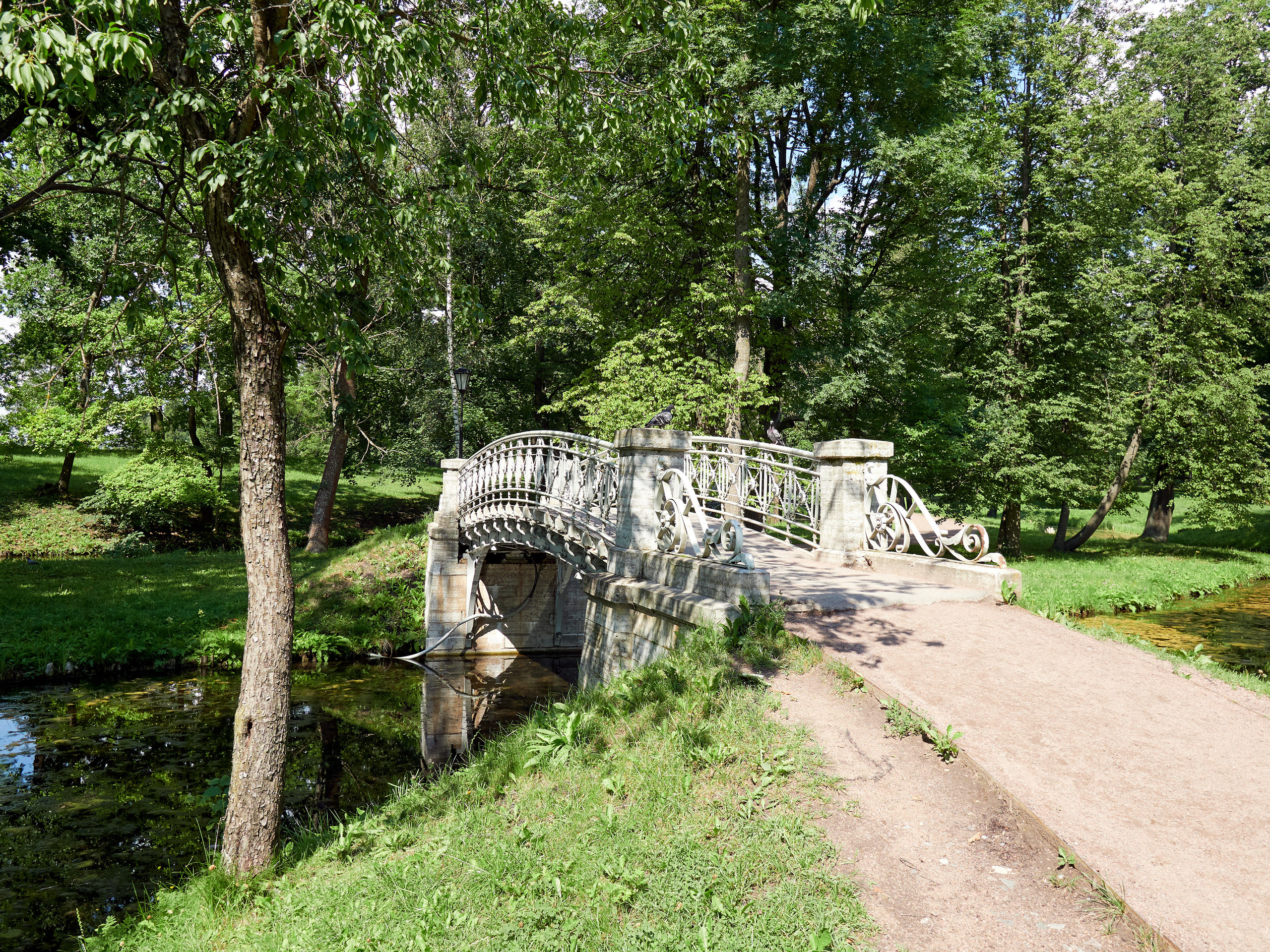 НАШИ ФОТО. Владимир Власюк