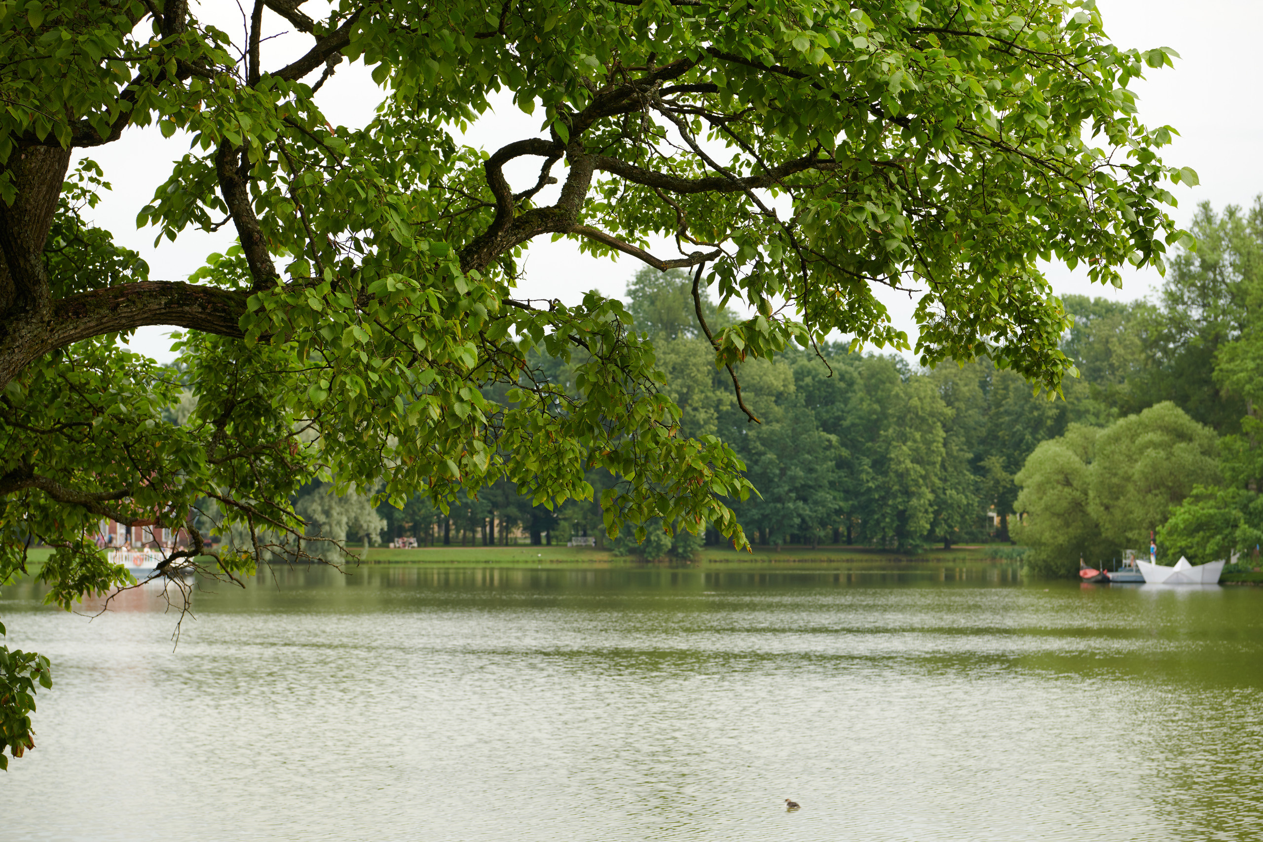 НАШИ ФОТО. Владимир Власюк