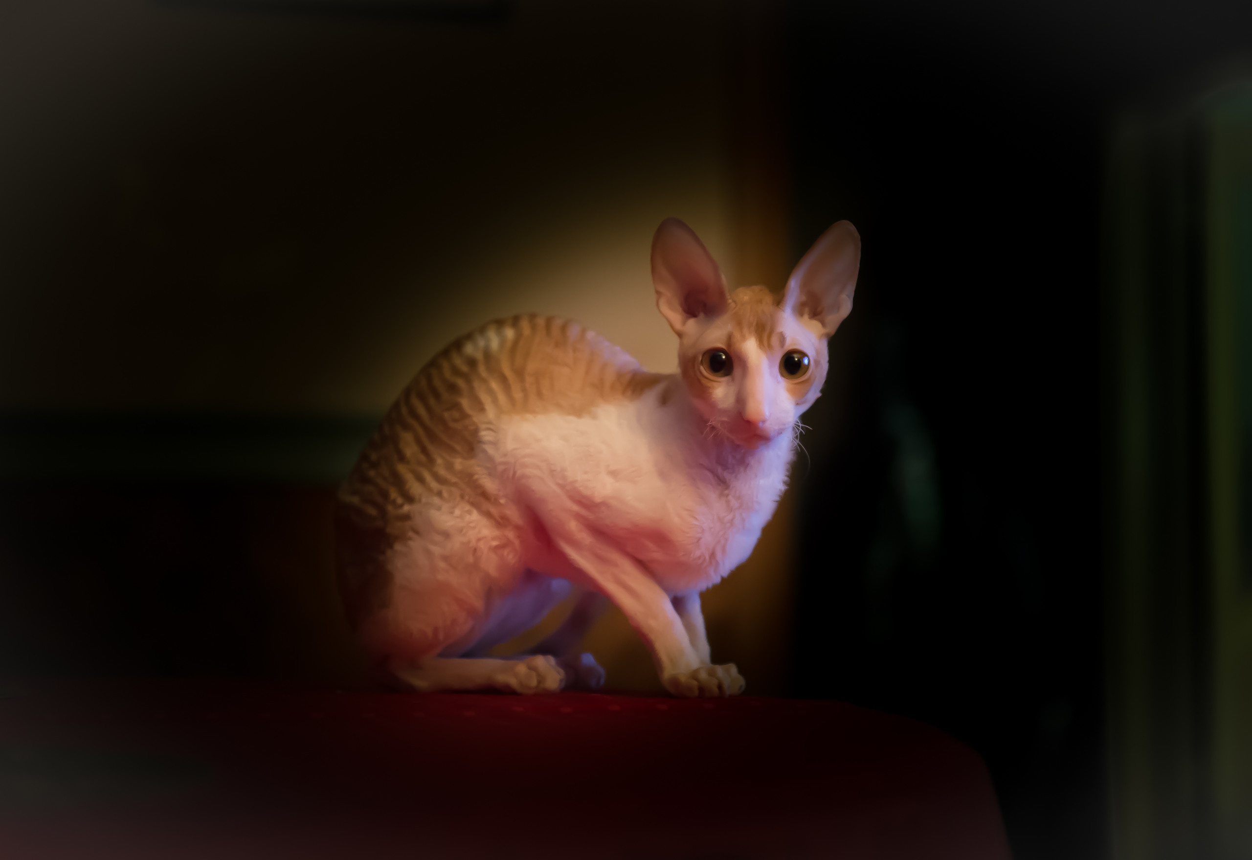 Екатеринбург. Владимир Власюк