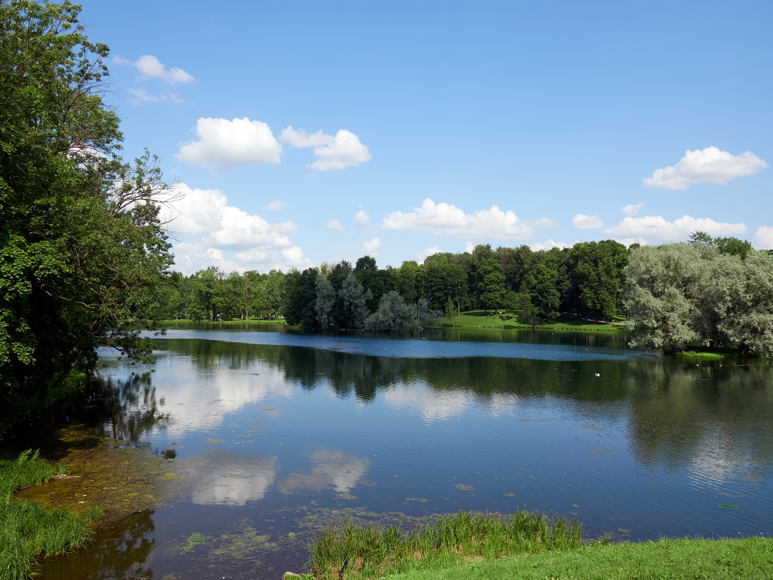 НАШИ ФОТО. Владимир Власюк