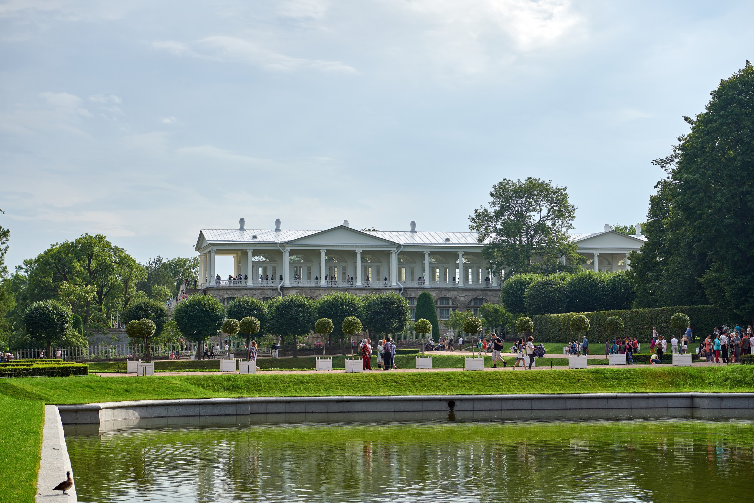 Питер 2018. Владимир Власюк