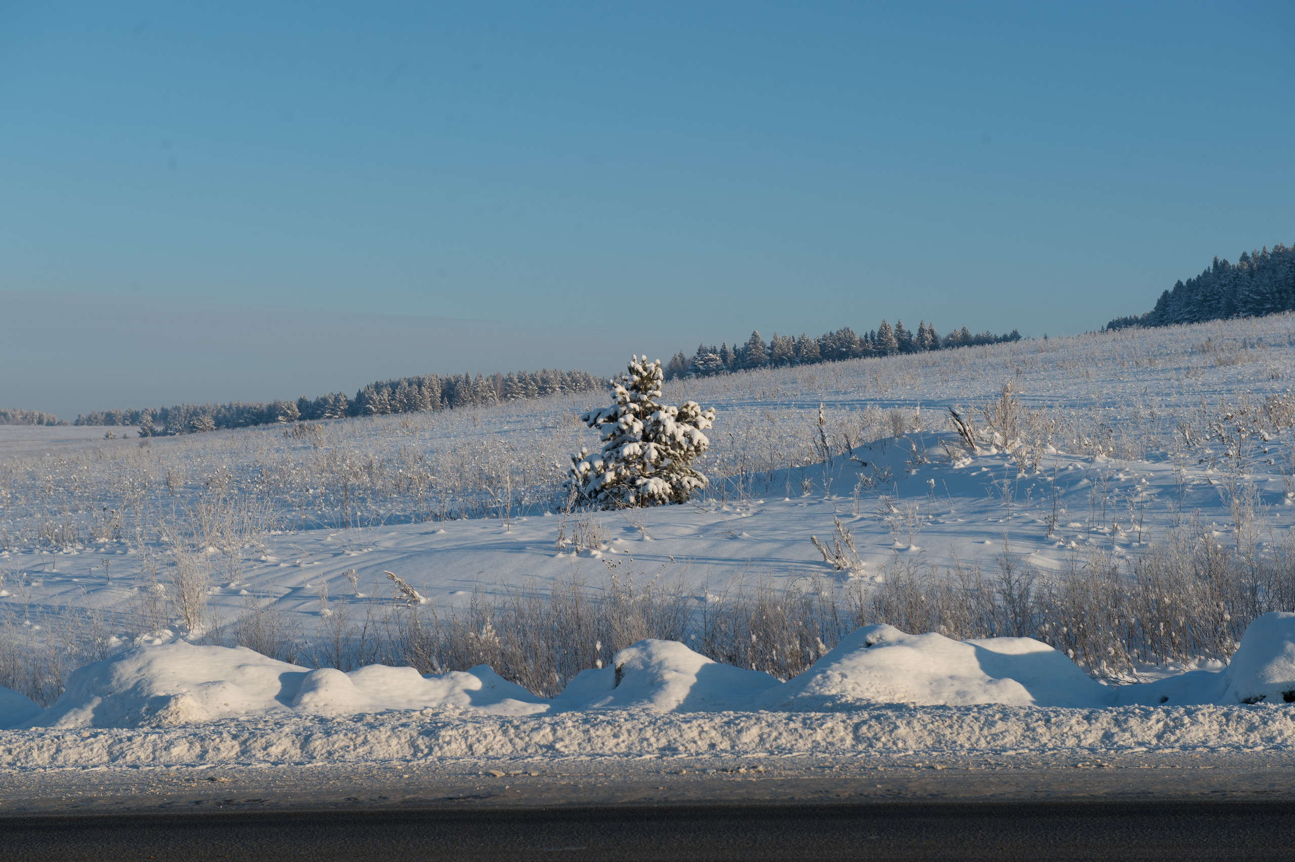 Екатеринбург. Владимир Власюк