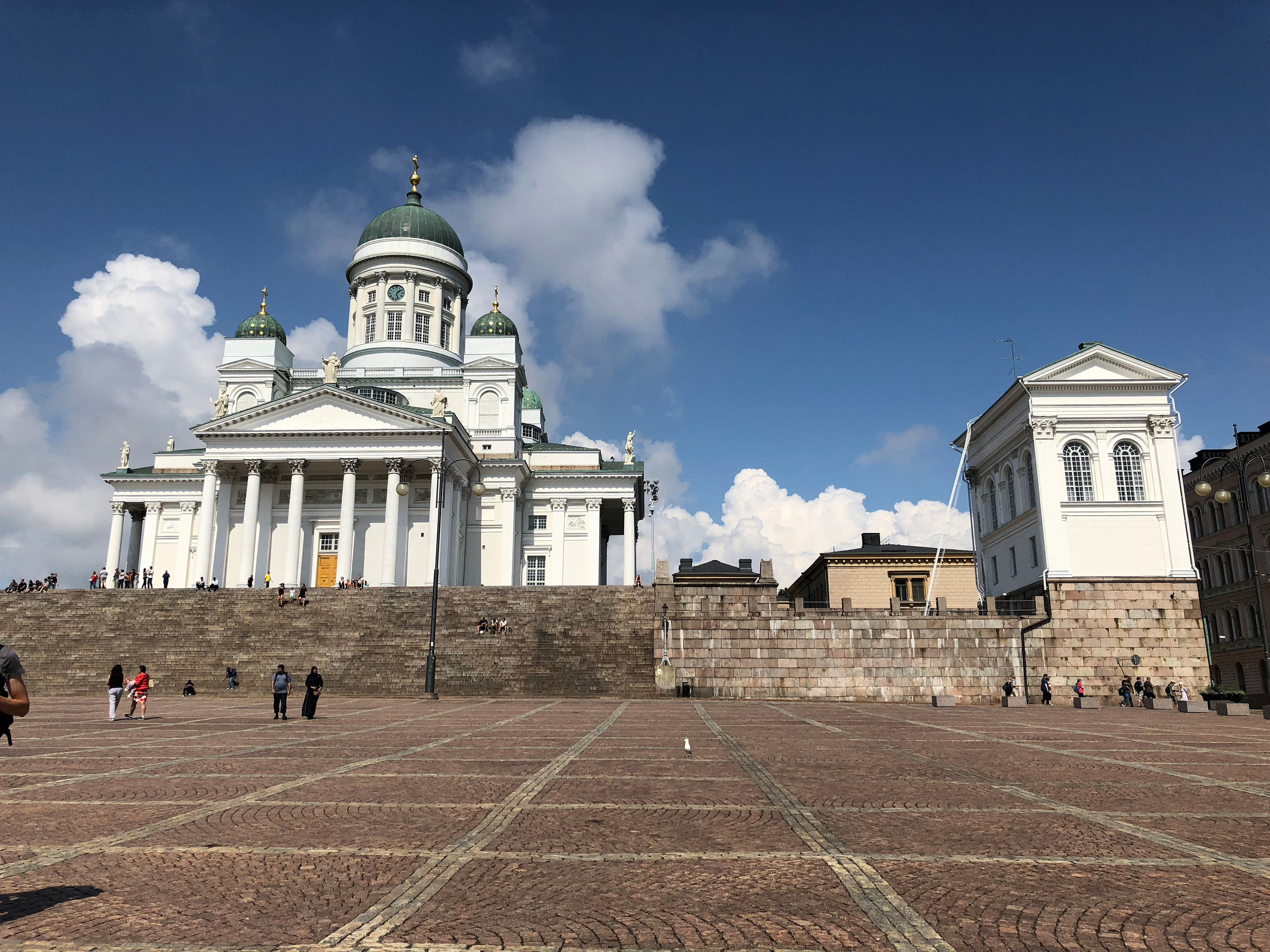 НАШИ ФОТО. Владимир Власюк