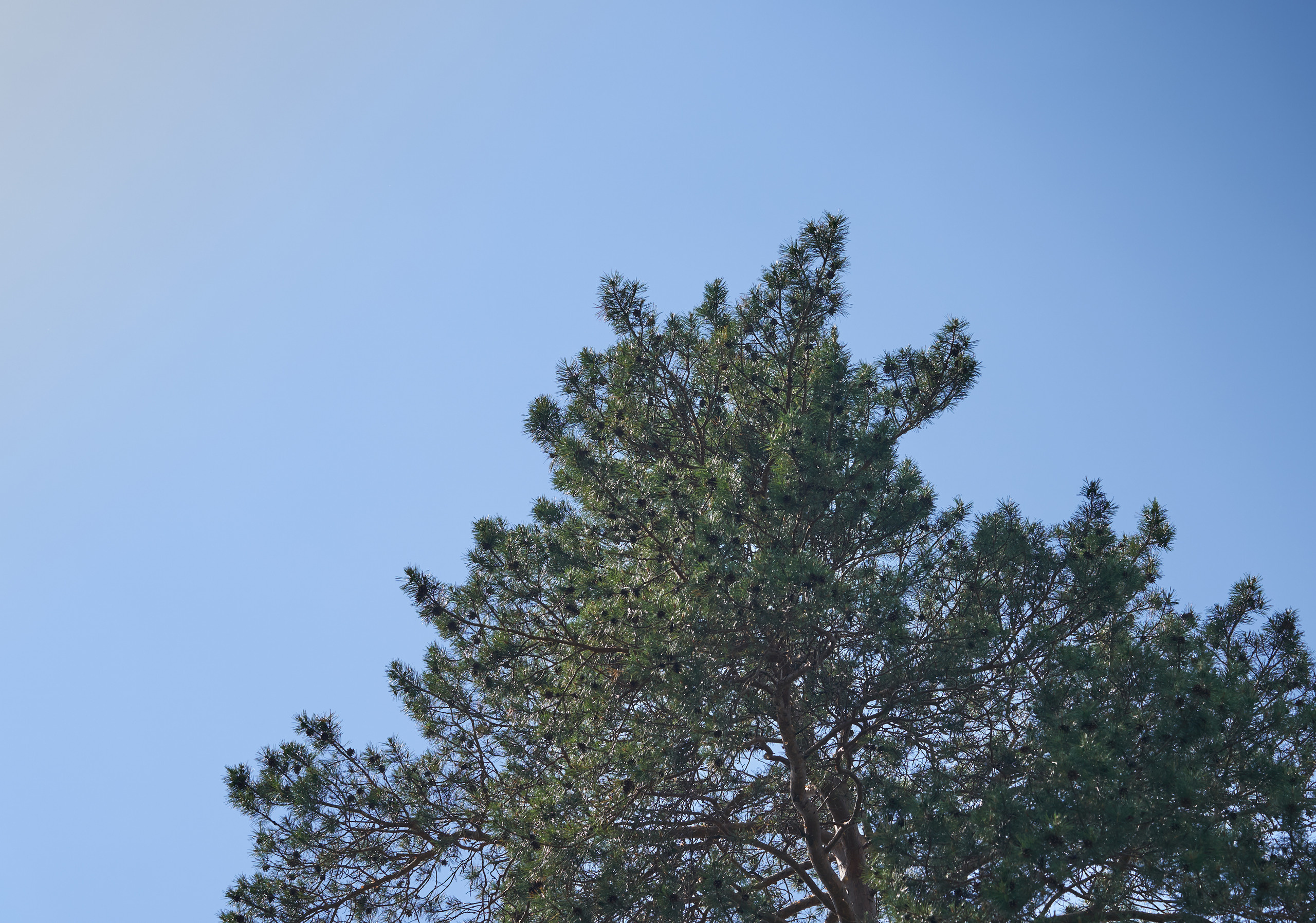 НАШИ ФОТО. Владимир Власюк