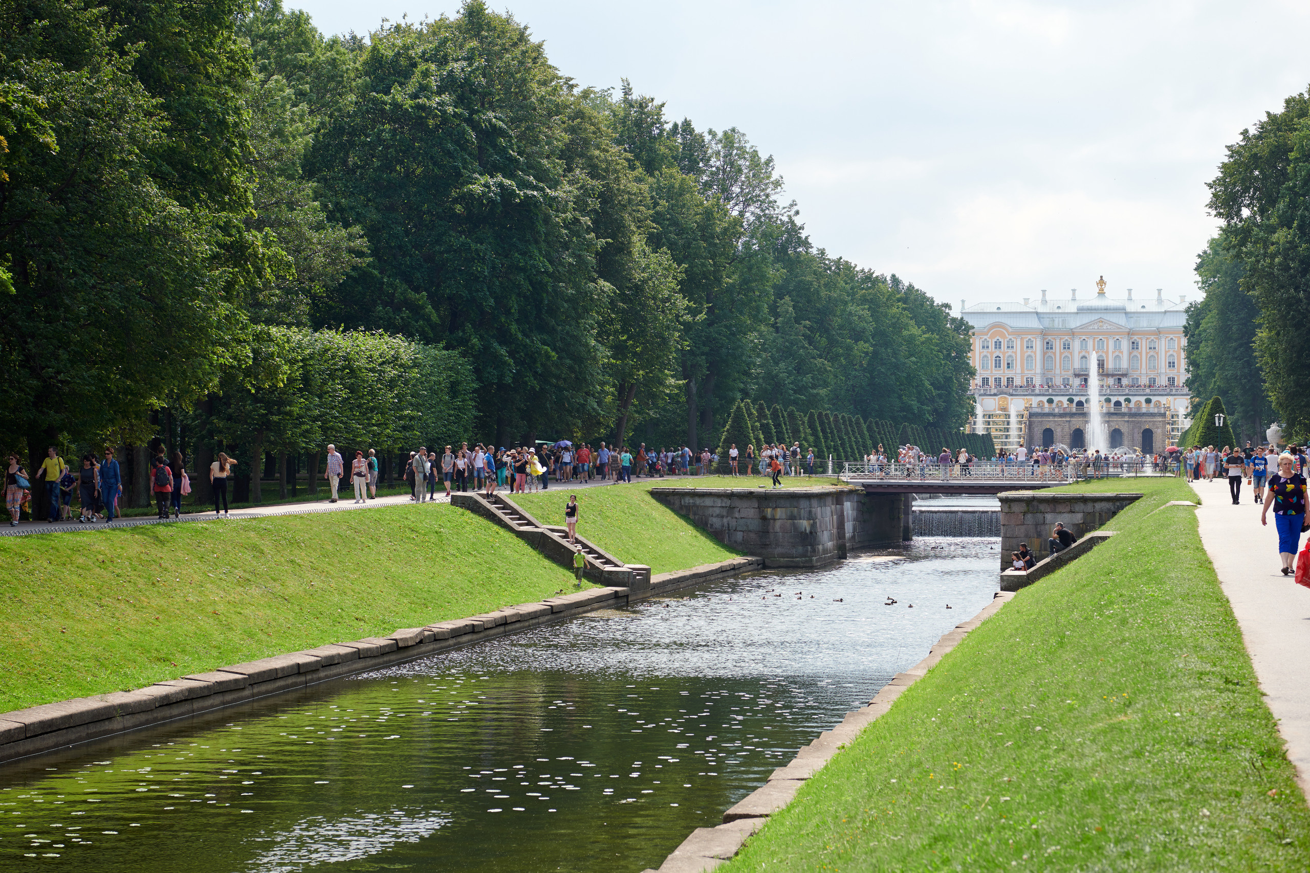 НАШИ ФОТО. Владимир Власюк