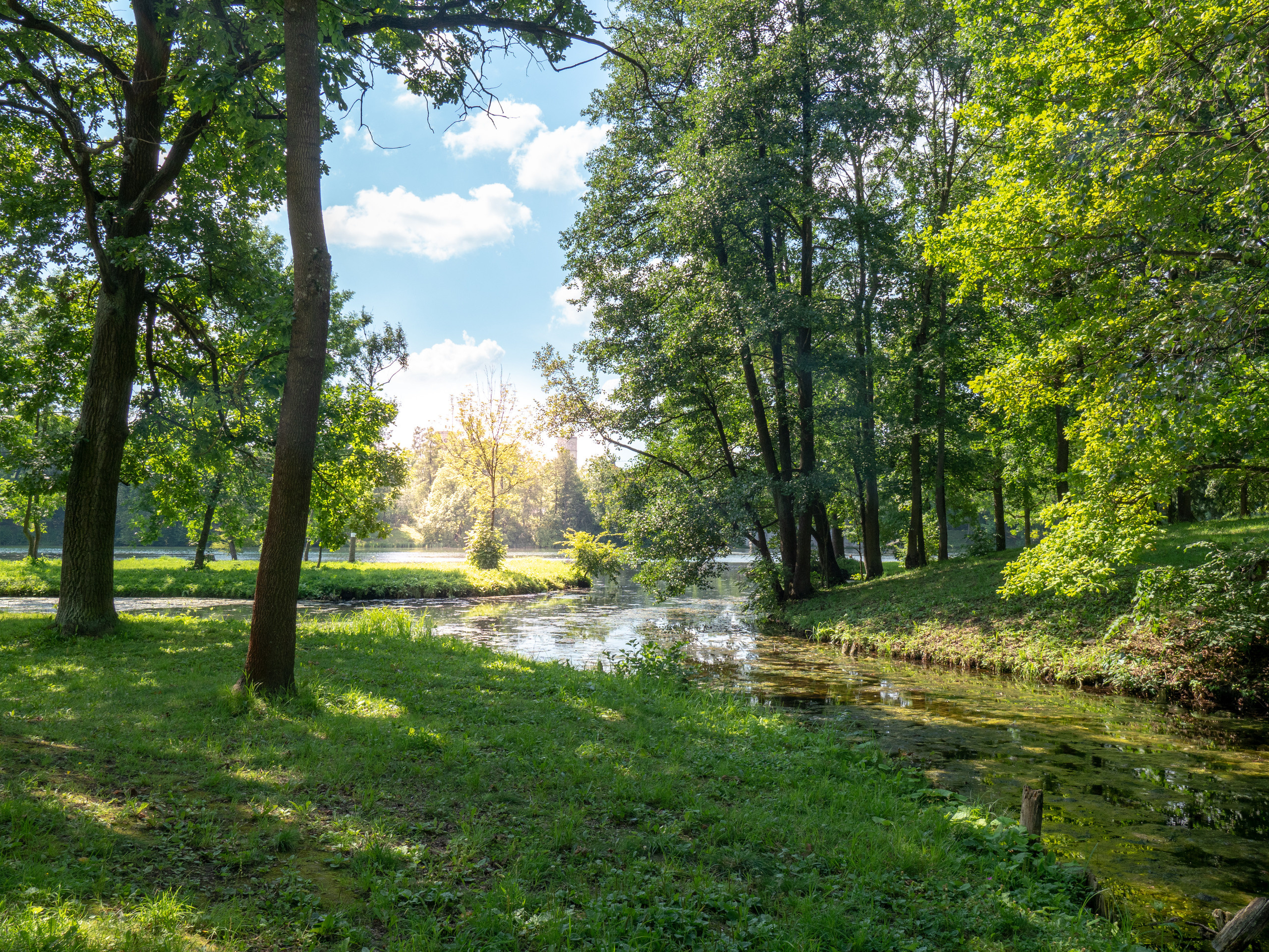 Питер 2018. Владимир Власюк
